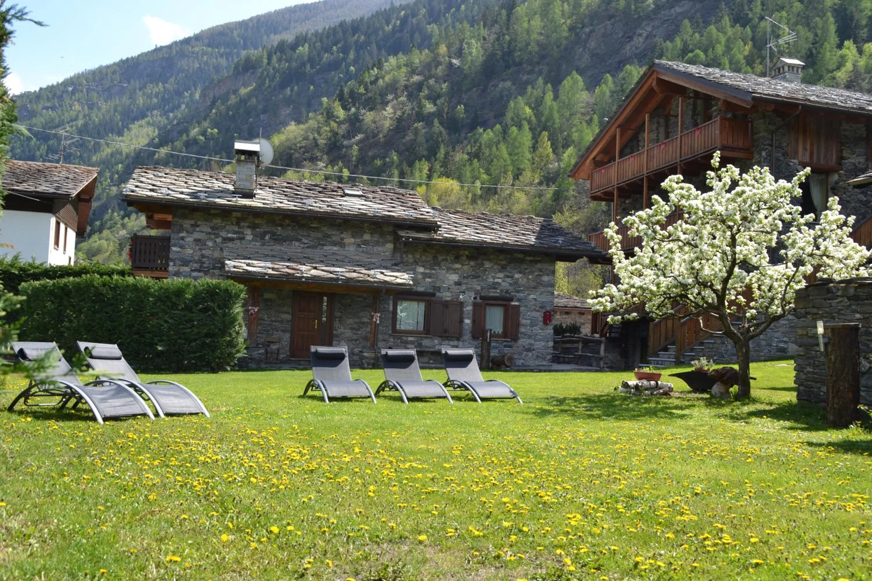 Spring in Le Petit Coeur Residence De Montagne