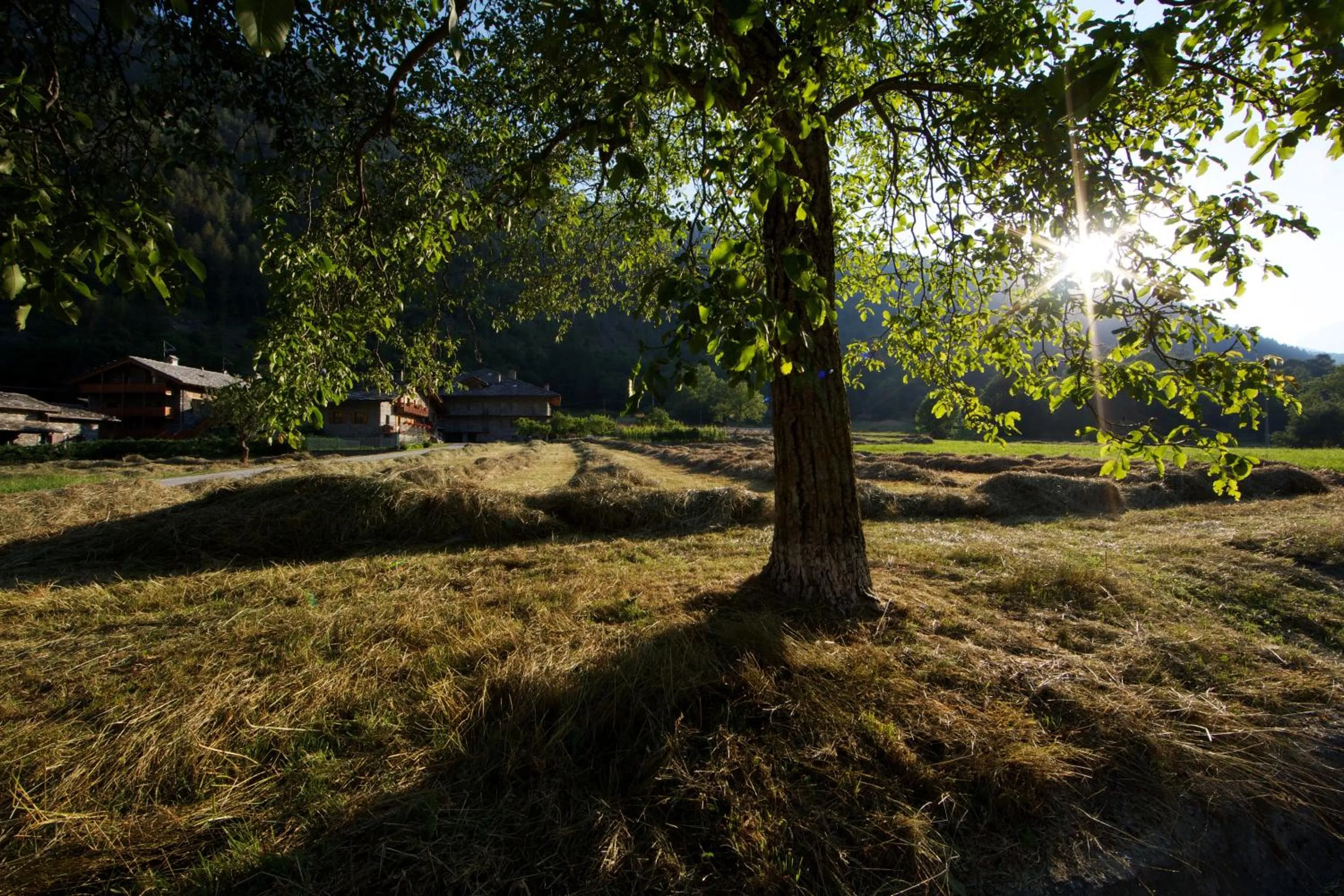 Day in Le Petit Coeur Residence De Montagne