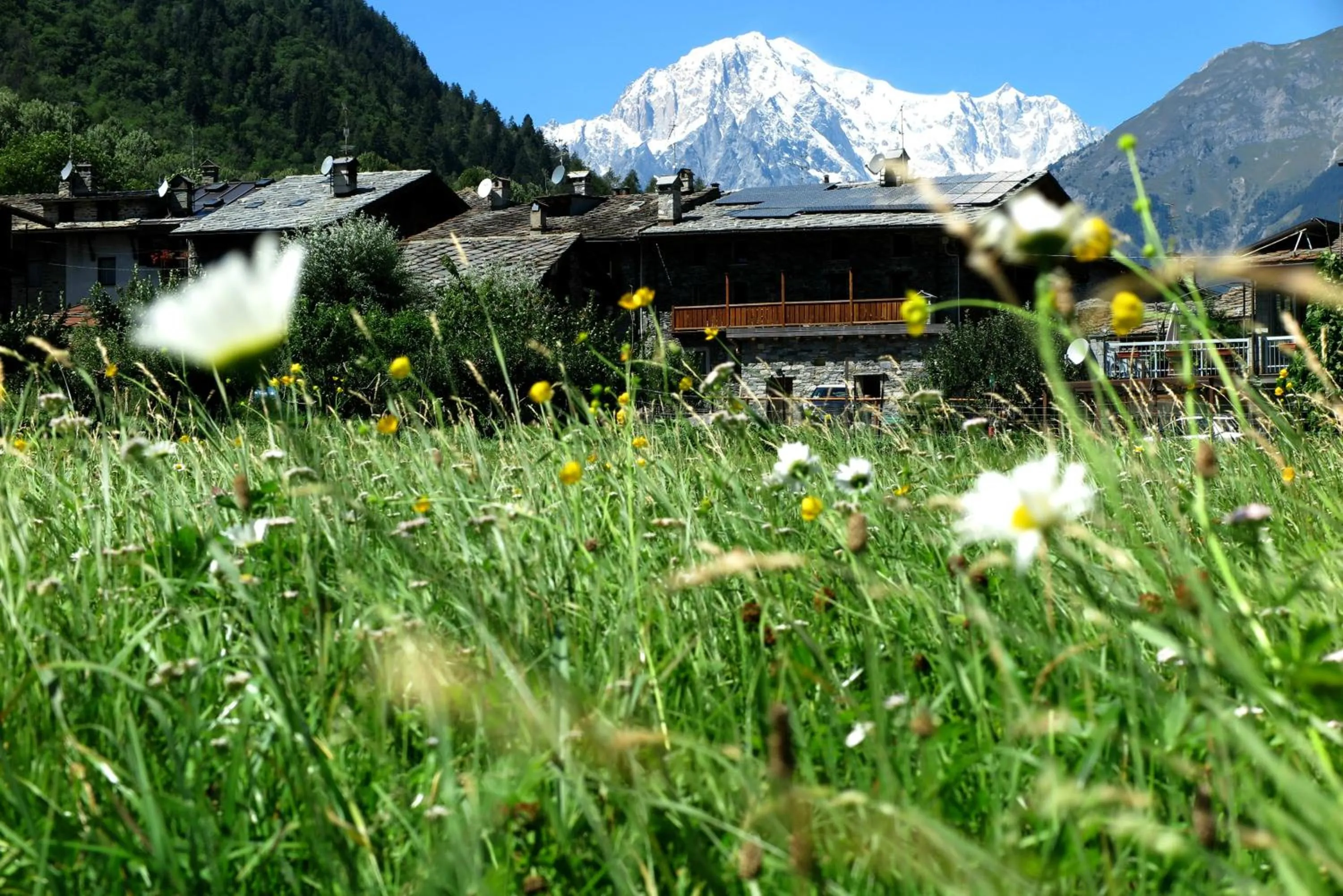 Neighbourhood in Le Petit Coeur Residence De Montagne