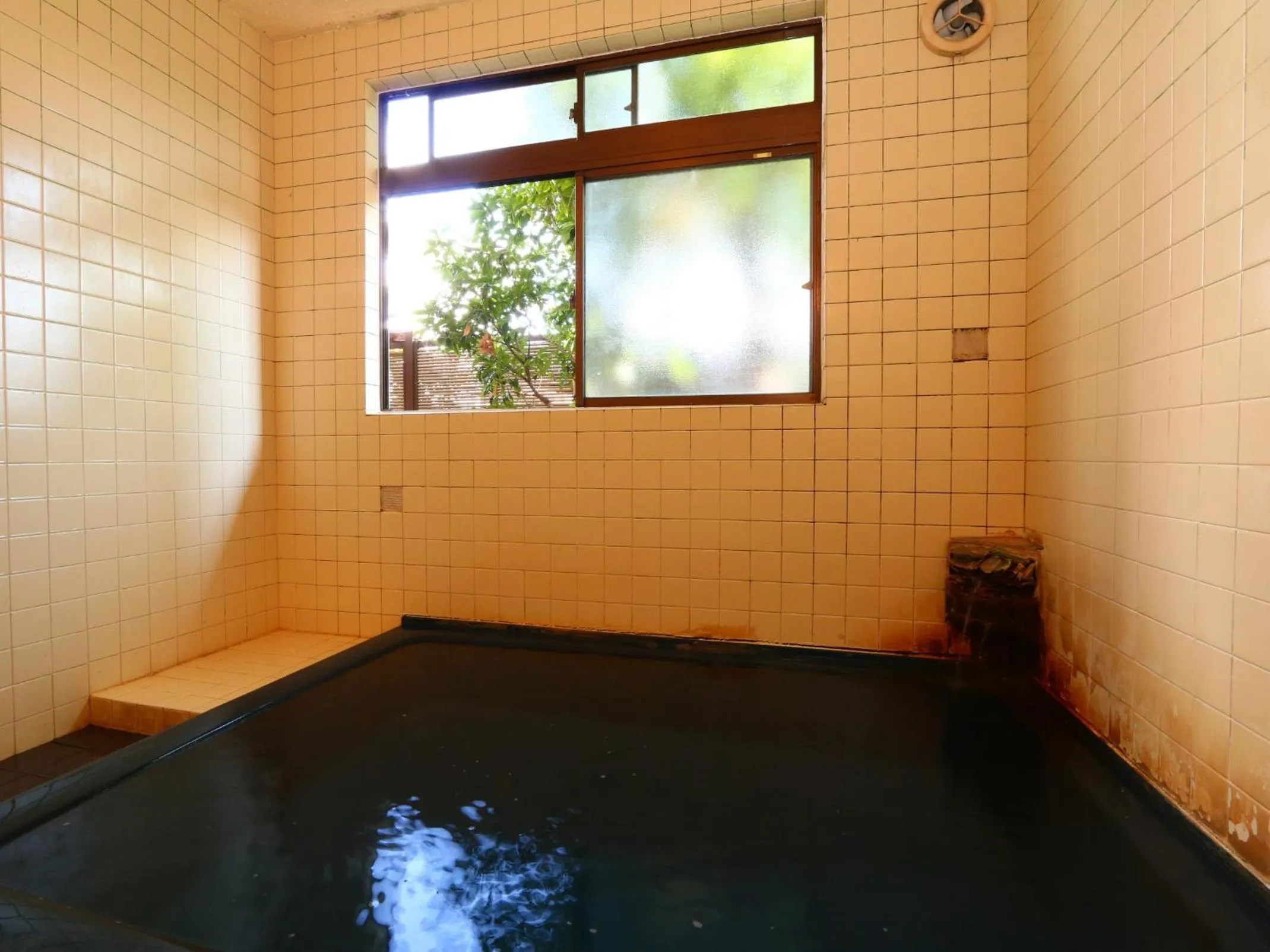 Hot Spring Bath in Hakuraiso