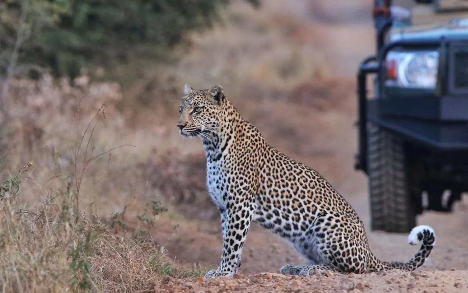 Activities in Sungulwane Private Game Lodge