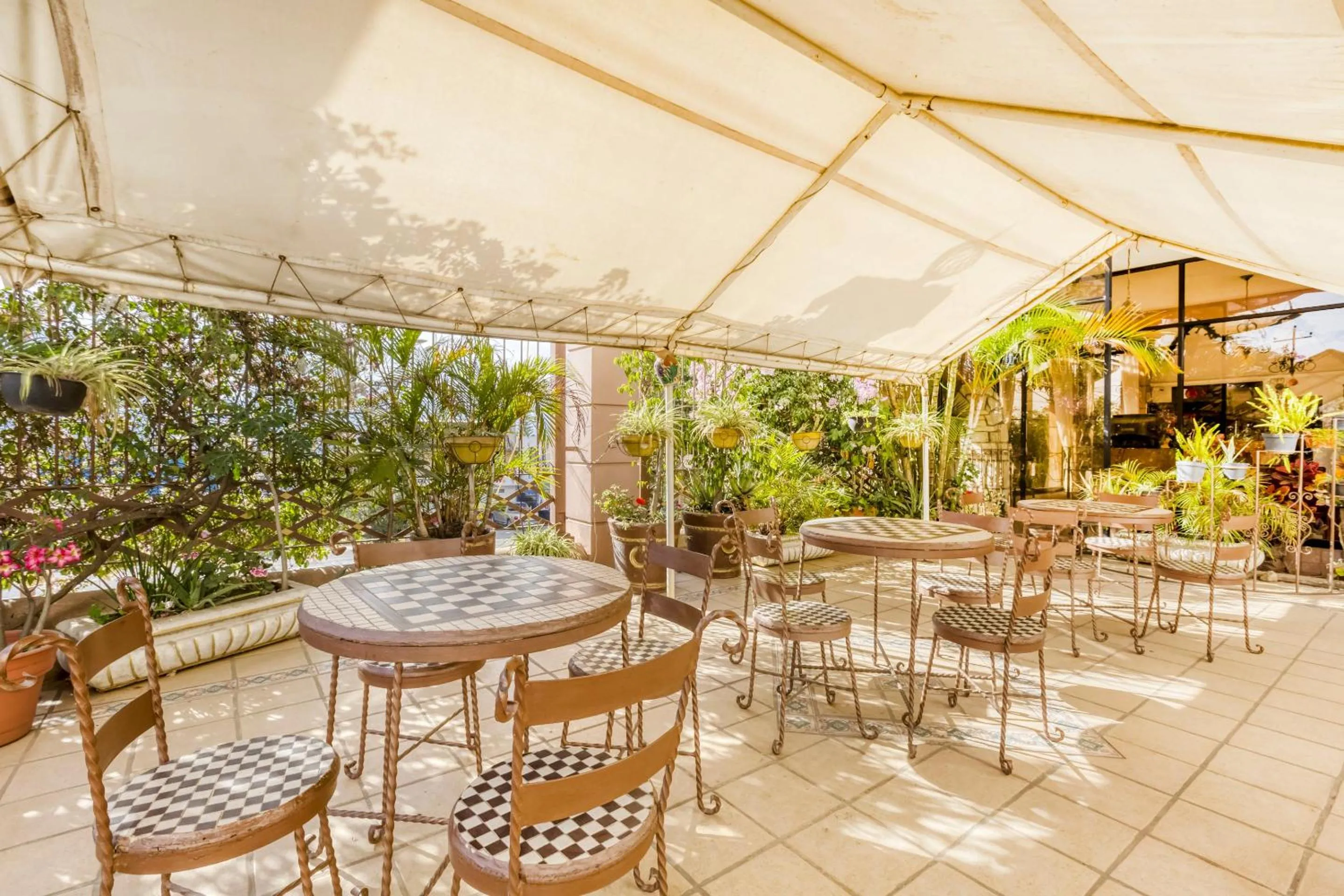 Restaurant/places to eat in Capital O Colina Dorada