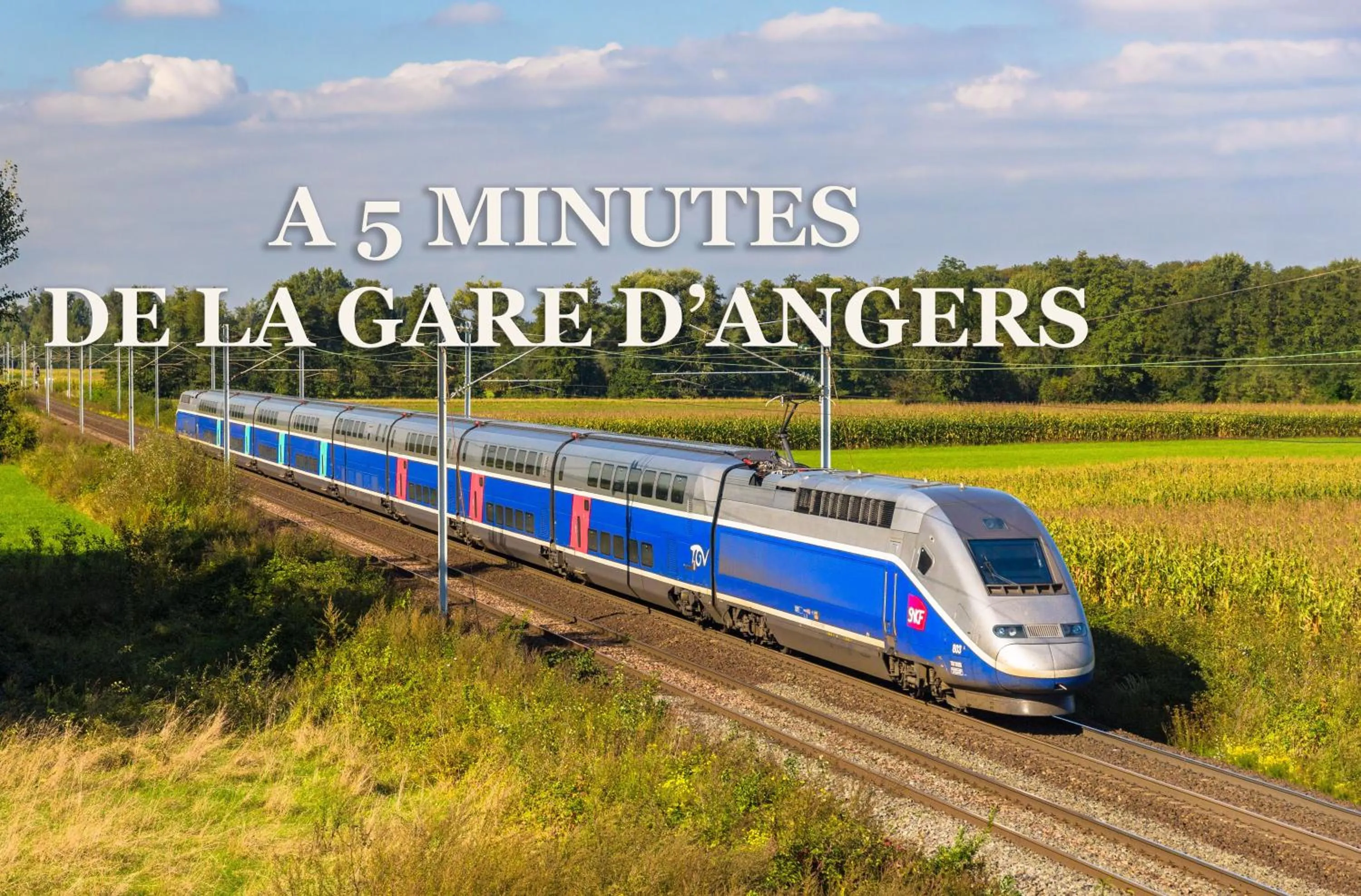 Nearby landmark in ibis Styles Angers Centre Gare