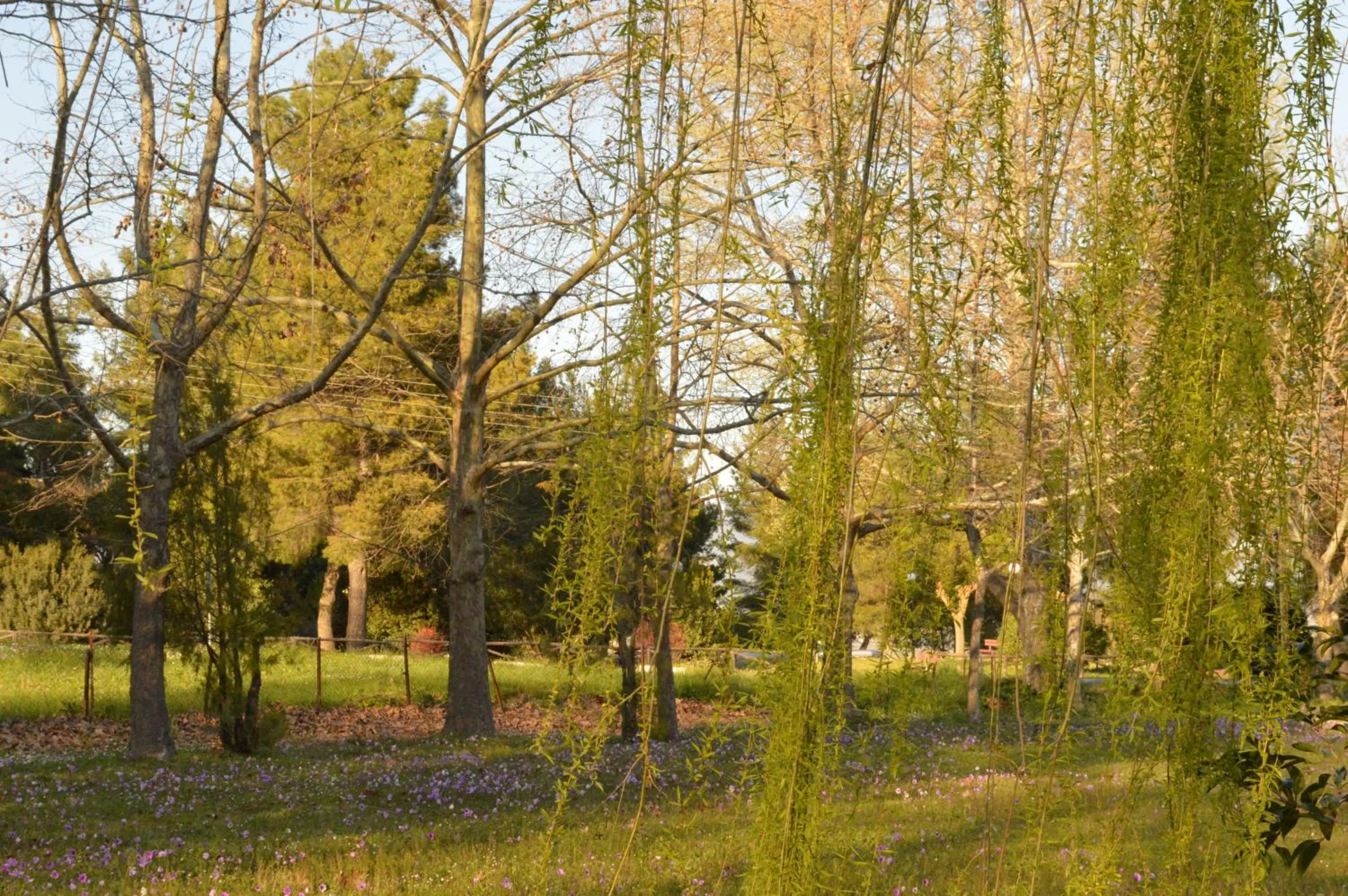 Neighbourhood in Alexakis Hotel & Spa