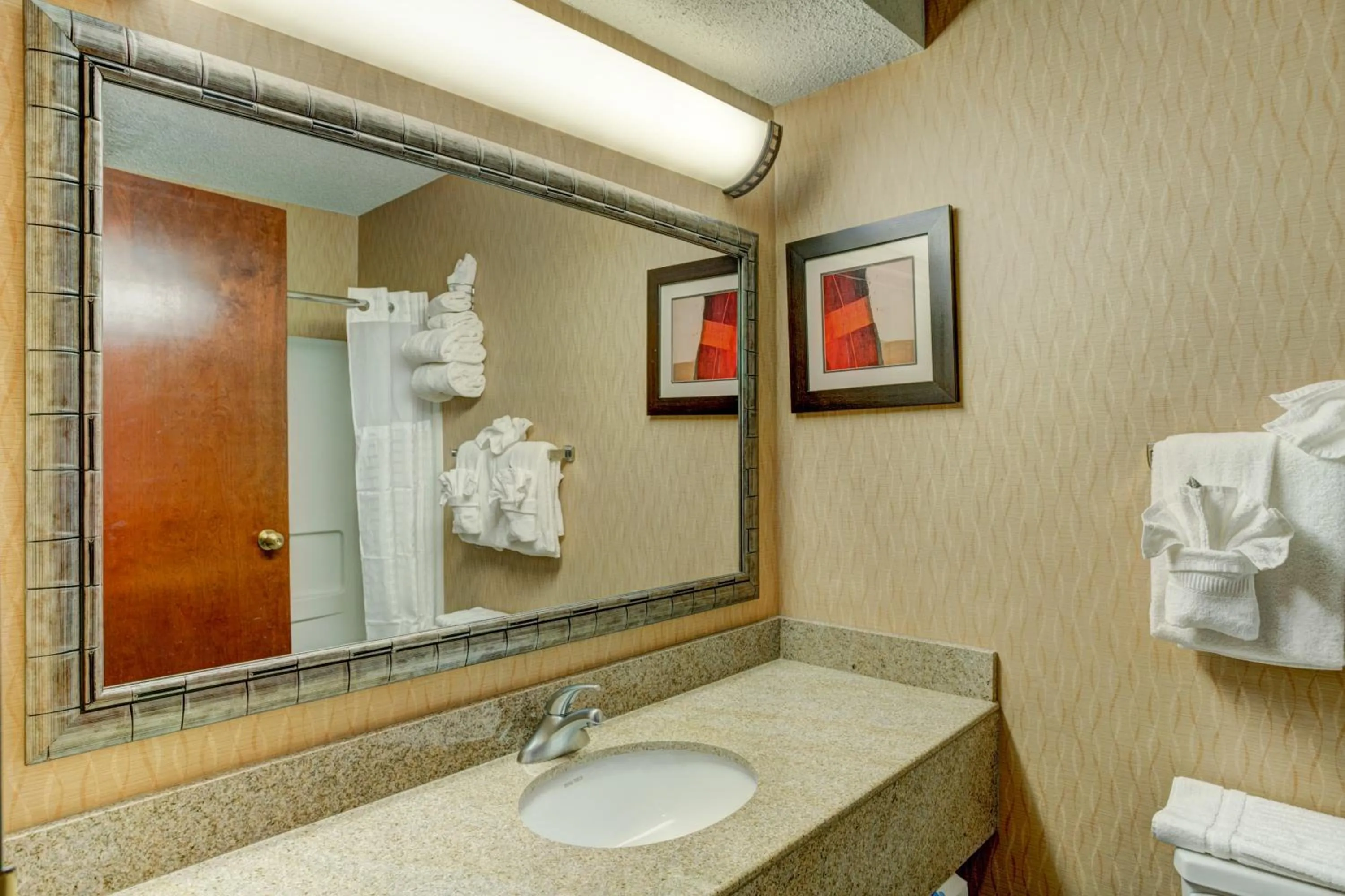 Bathroom in Comfort Suites Raleigh Durham Airport/Rtp