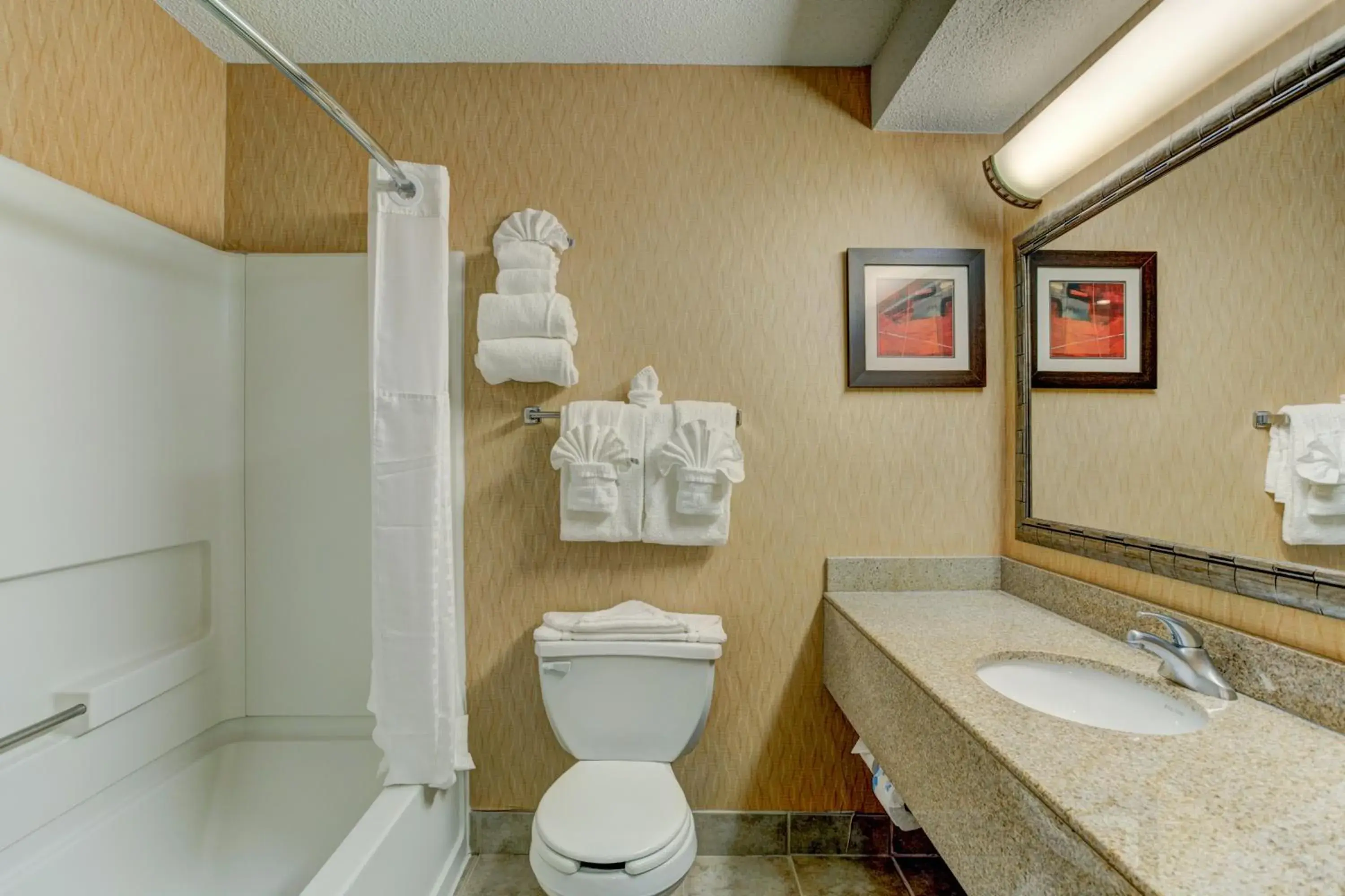 Bathroom in Comfort Suites Raleigh Durham Airport/Rtp