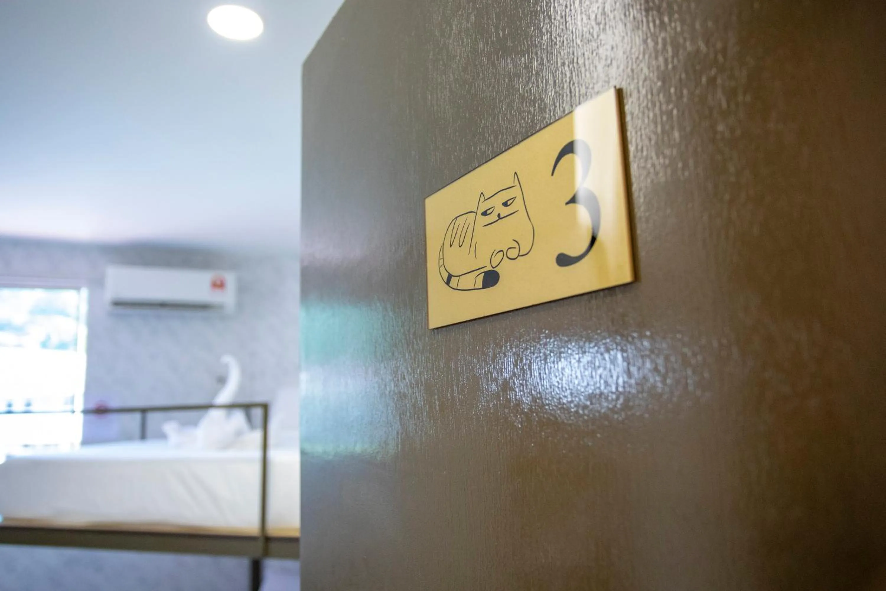 Lazy Cat Home At Gaya Street