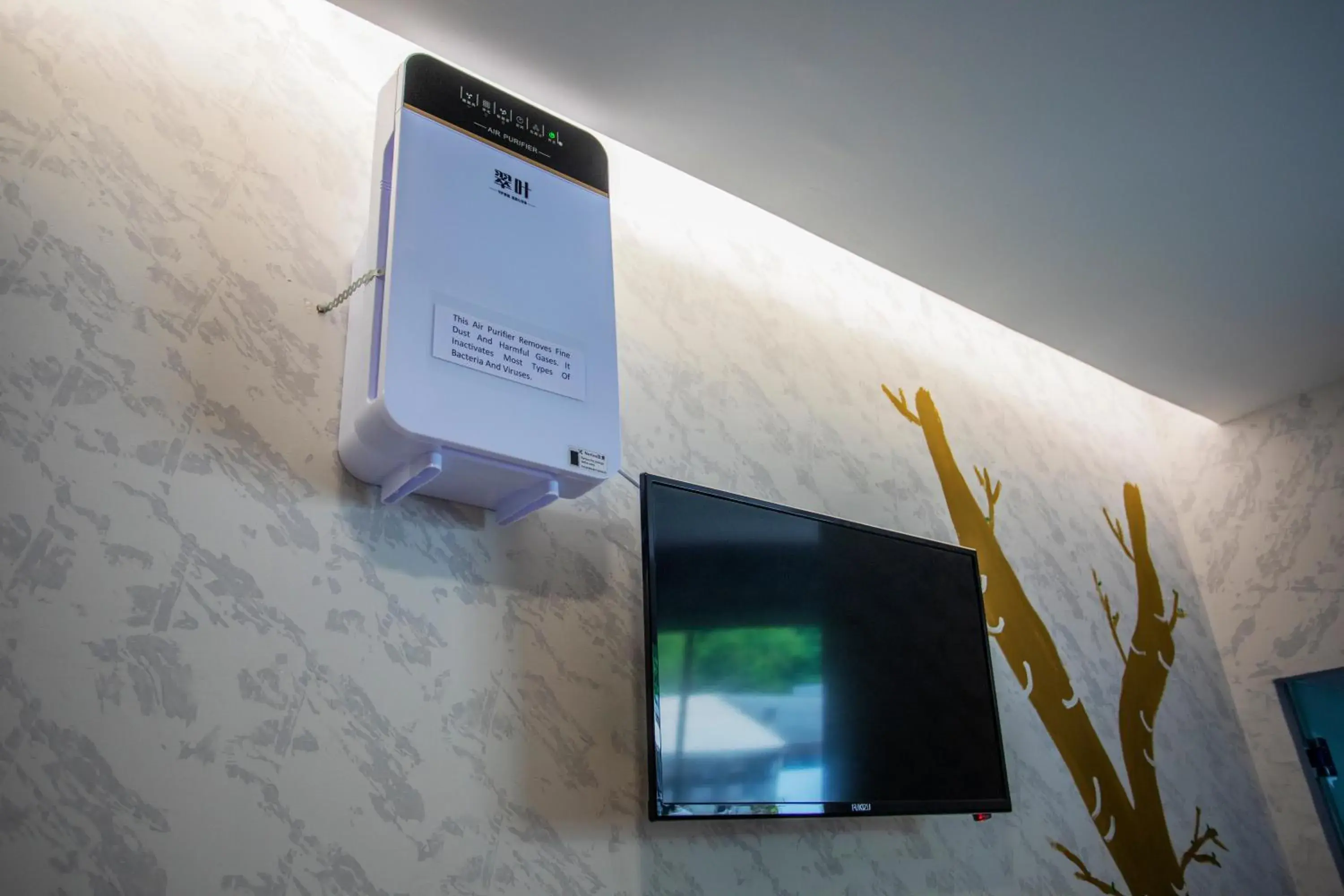 Lazy Cat Home At Gaya Street Lazy Cat Home At Gaya Street