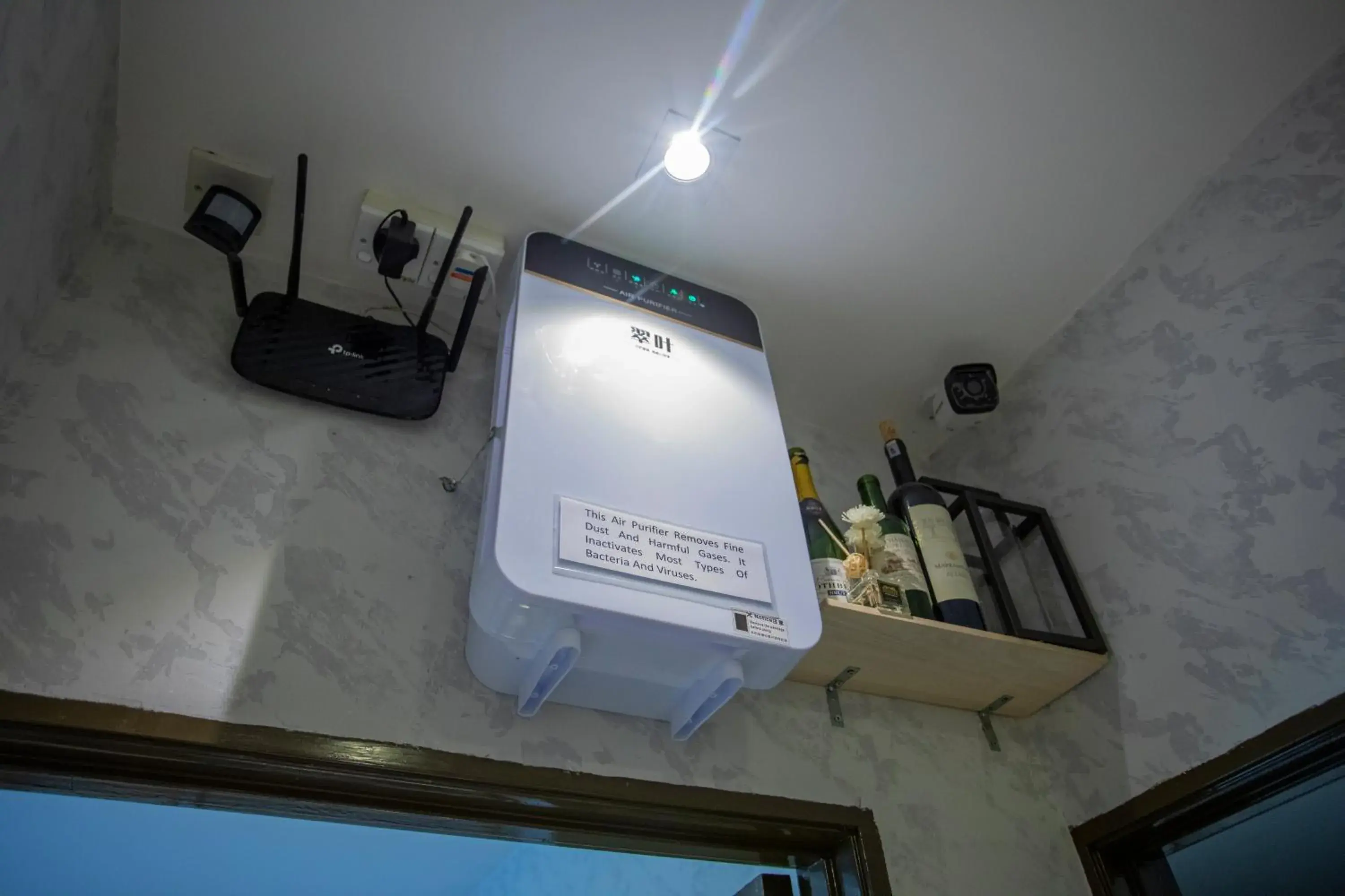 Lazy Cat Home At Gaya Street Lazy Cat Home At Gaya Street