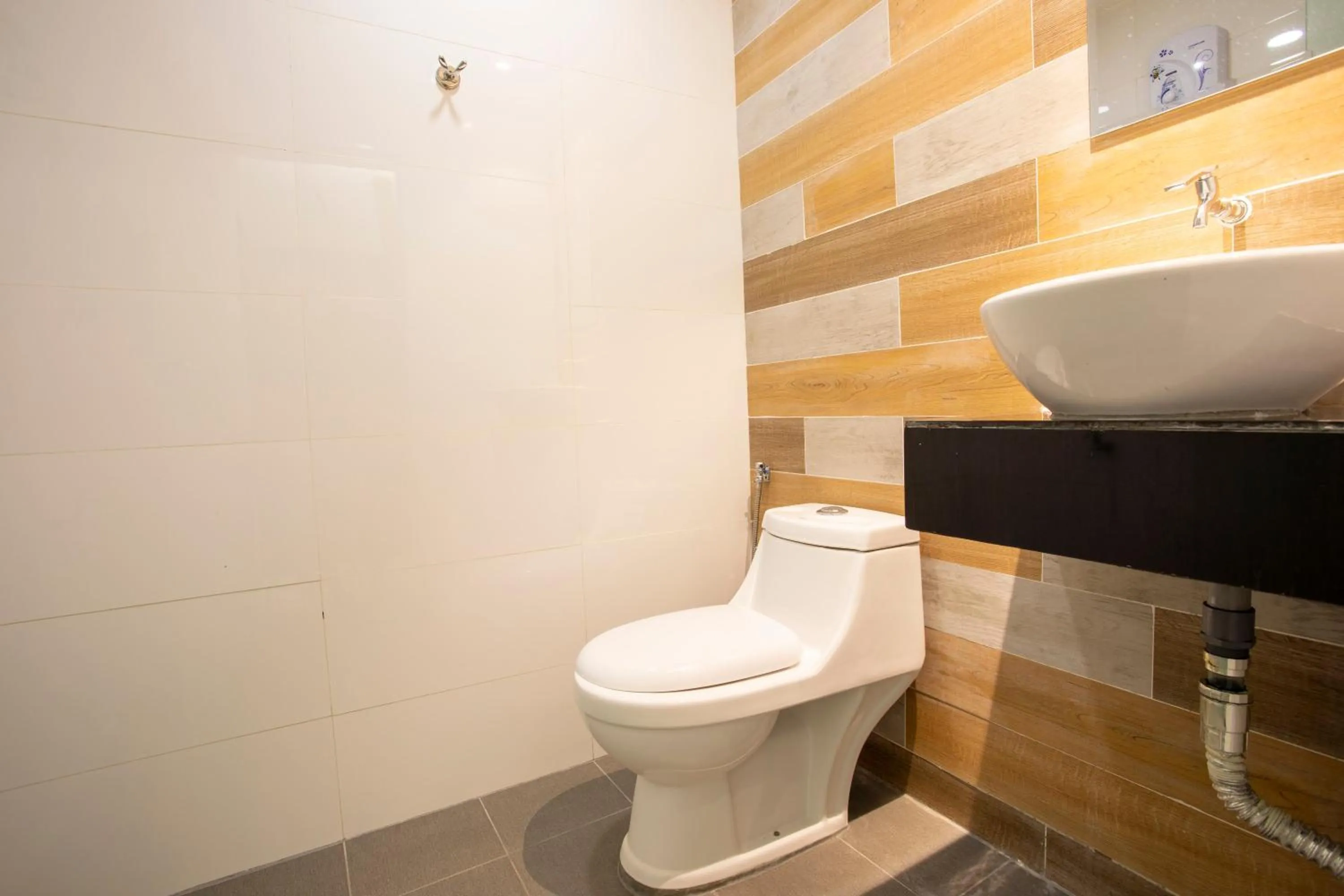 Lazy Cat Home At Gaya Street