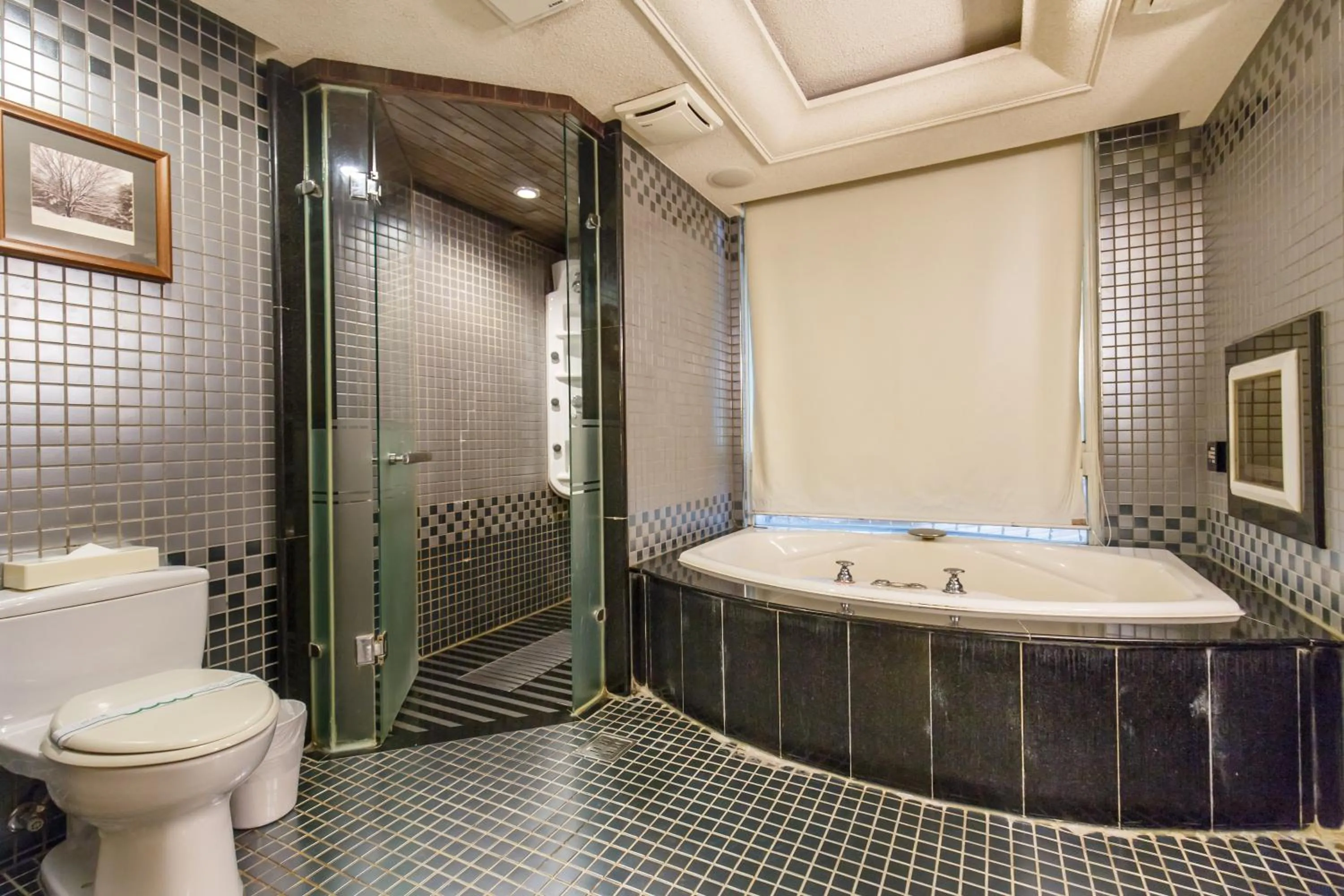 Shower in Love Tree Motel