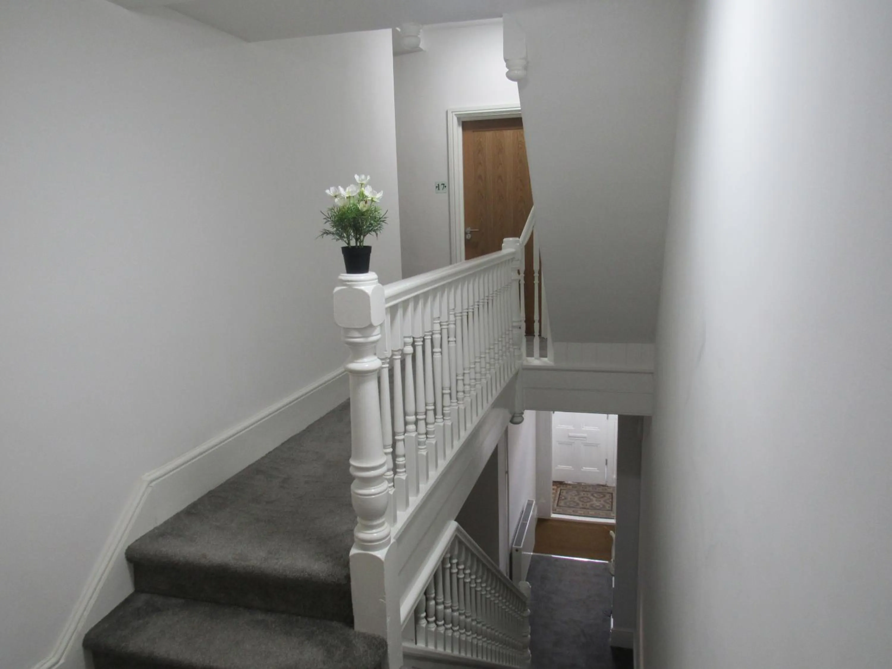 The Tas Suites - Tas Accommodations