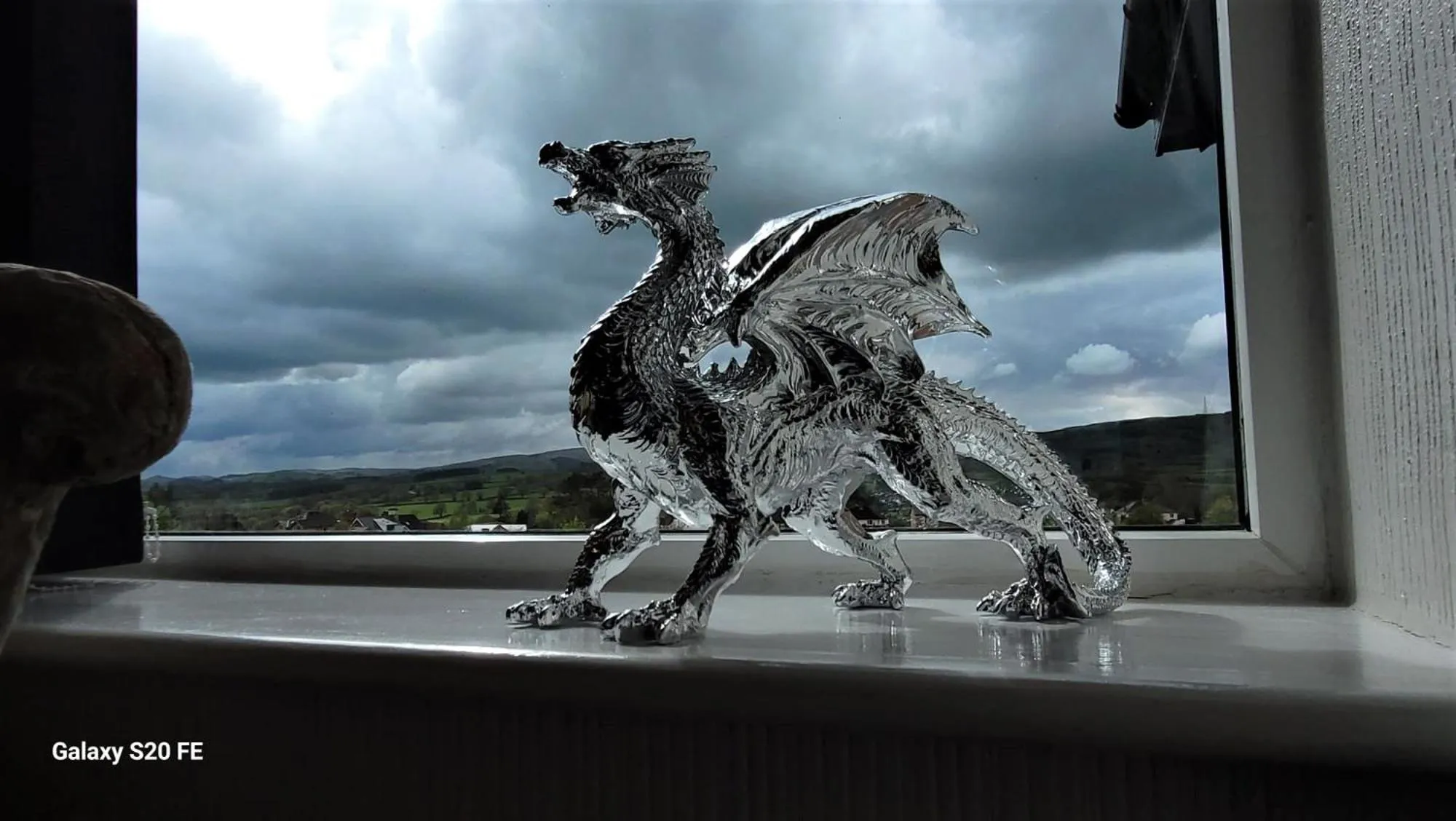 Animals in Greylands Guest House