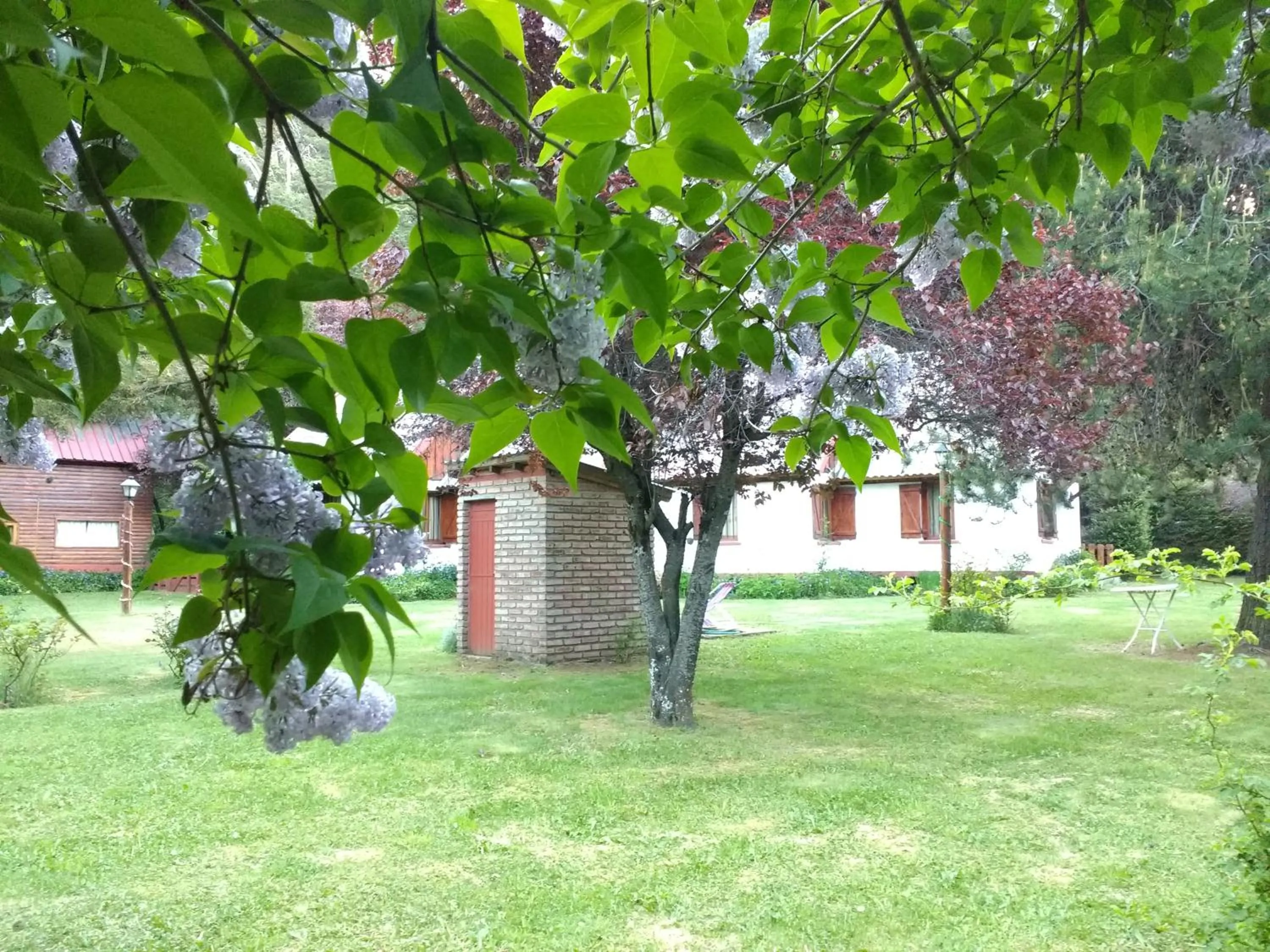 Cabañas Pichi Ruca