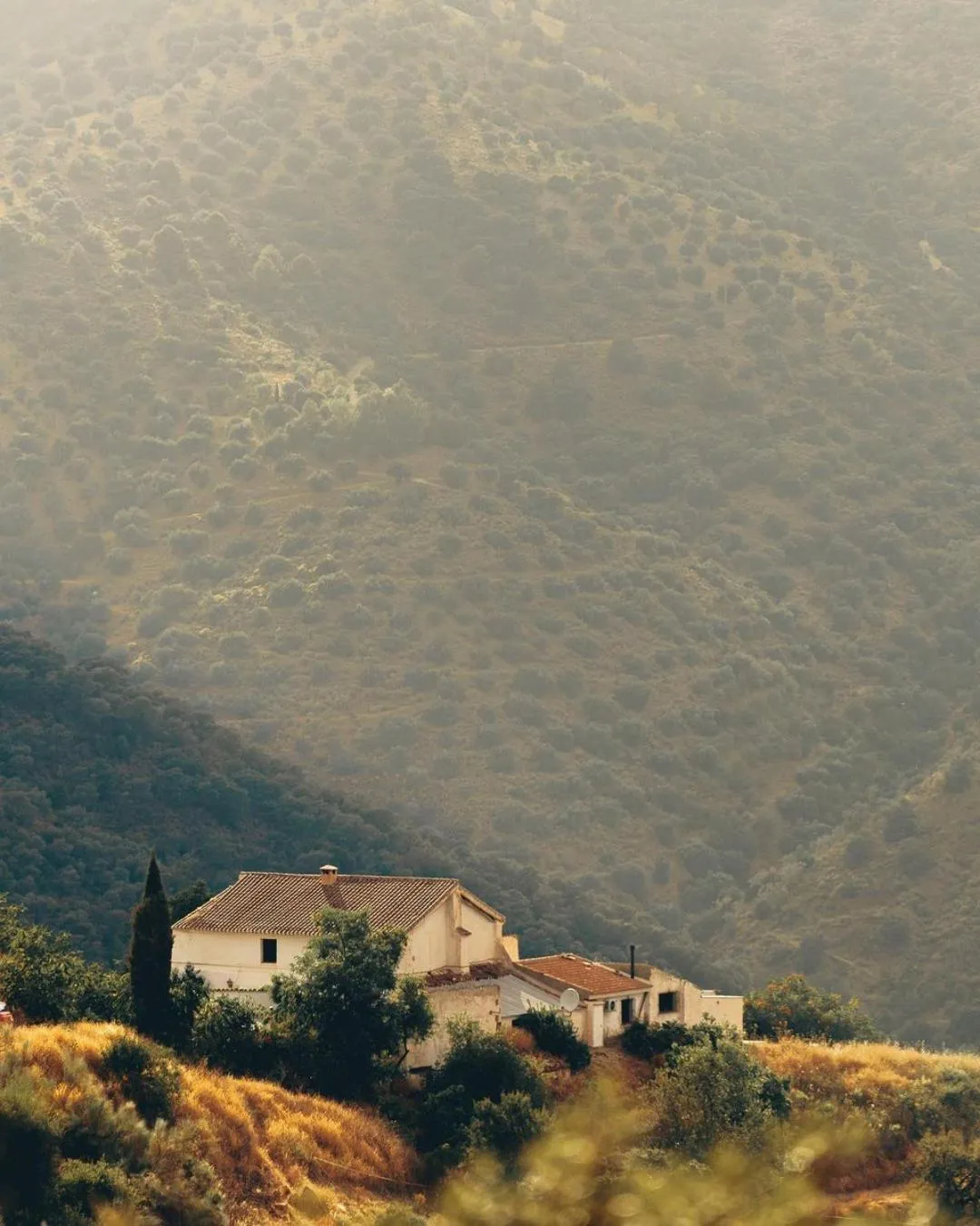 Property building in Finca Serrato