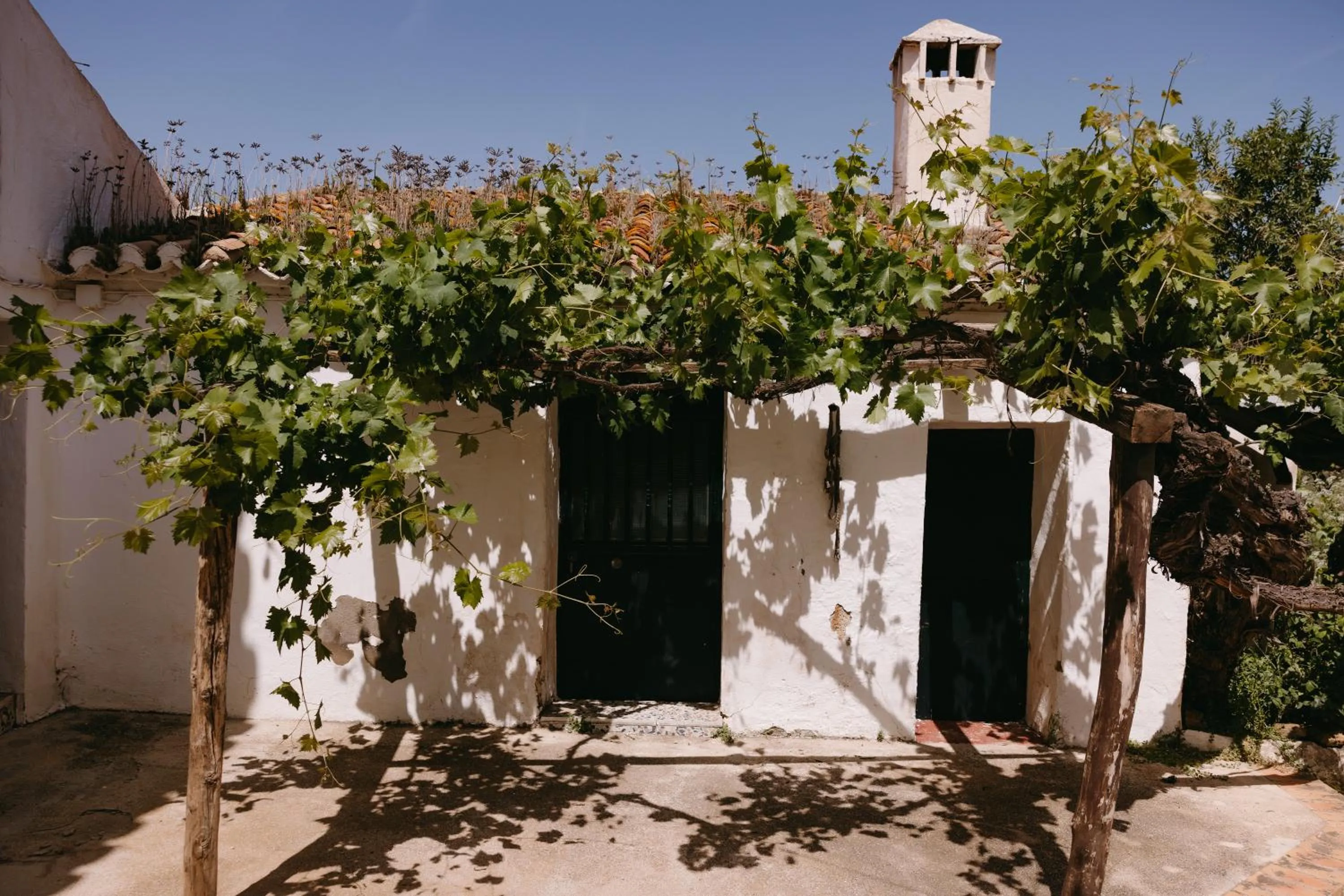 Property building in Finca Serrato