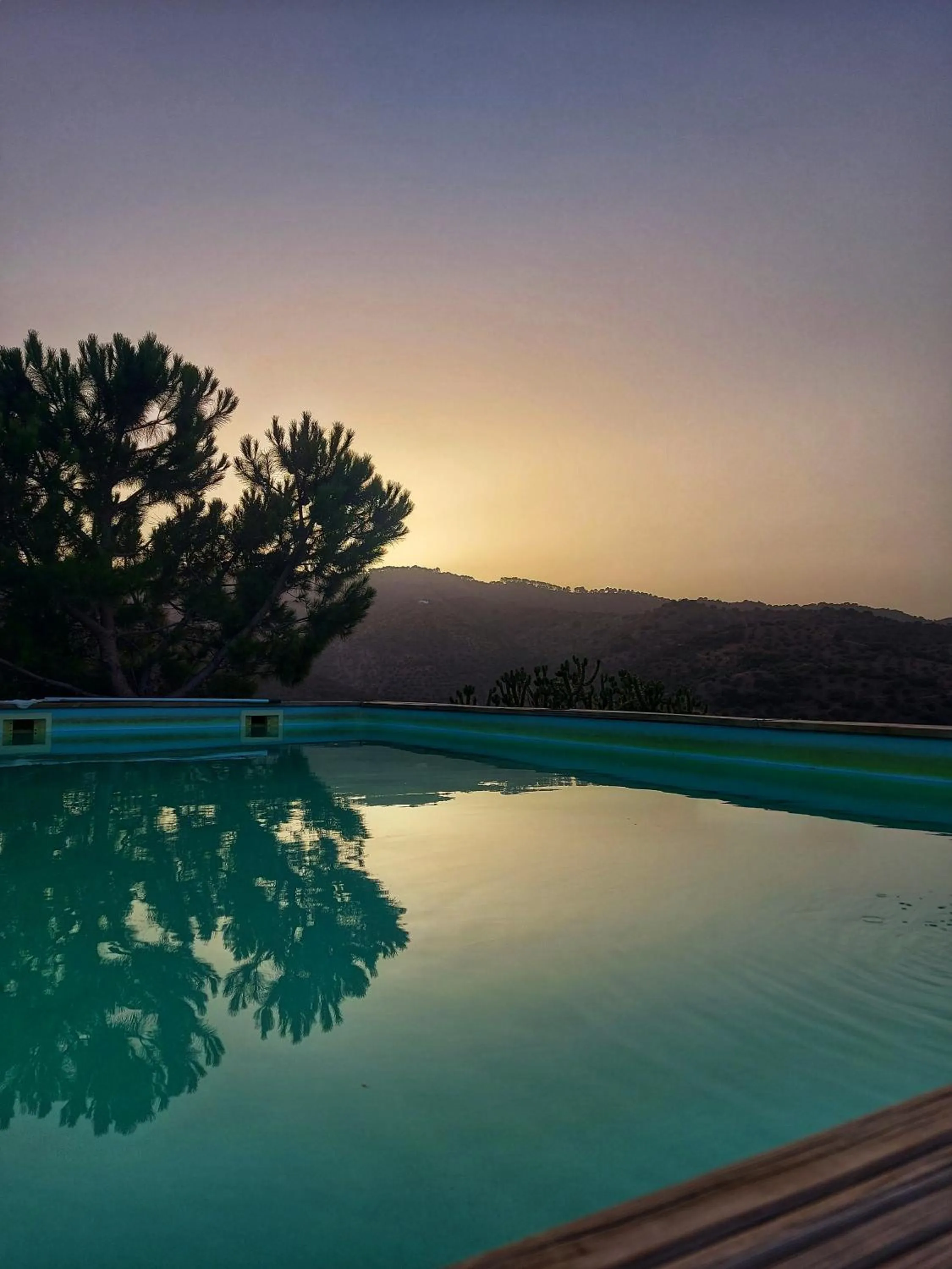 Pool view in Finca Serrato