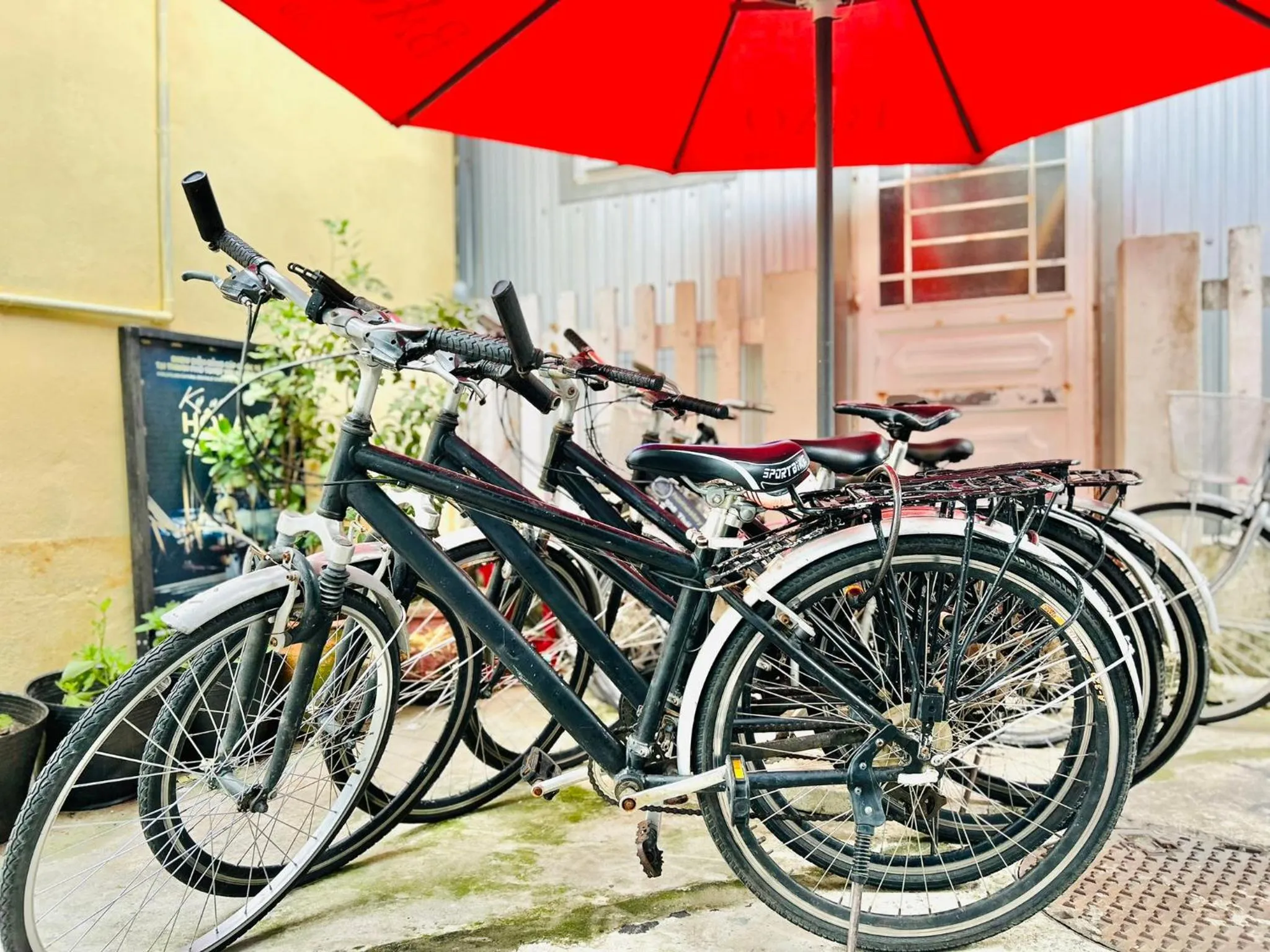 Day in May's House Hoi An