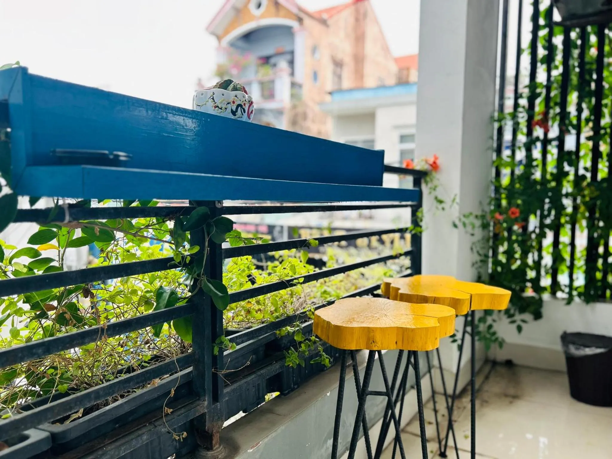 Day in May's House Hoi An