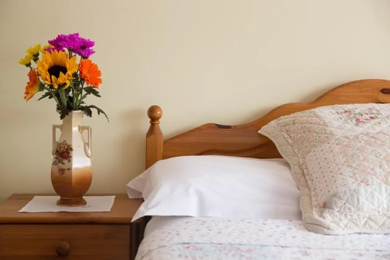 Bed in Shannon Breeze B&B