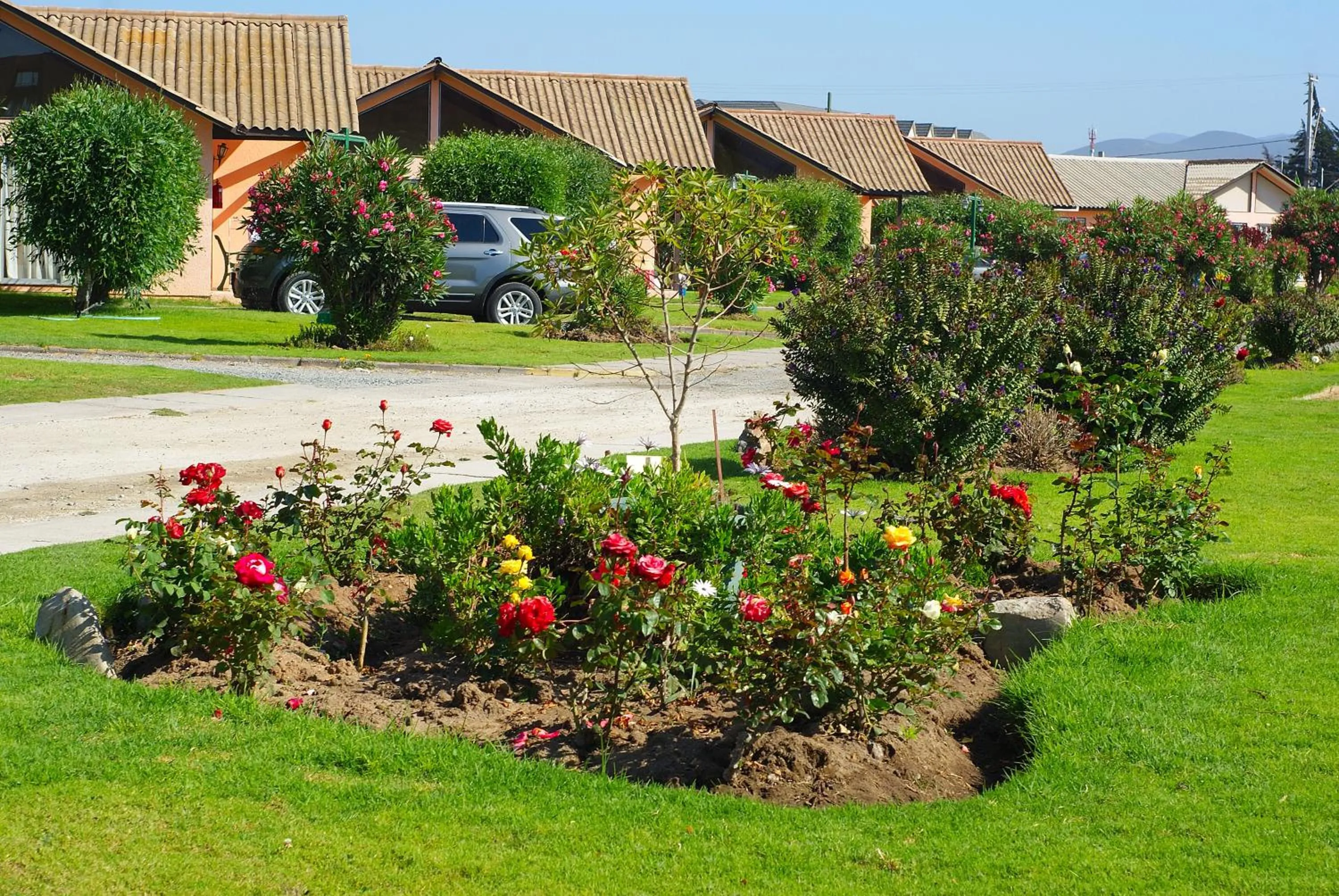 Spring in Apart Hotel Y Cabanas Vegasur