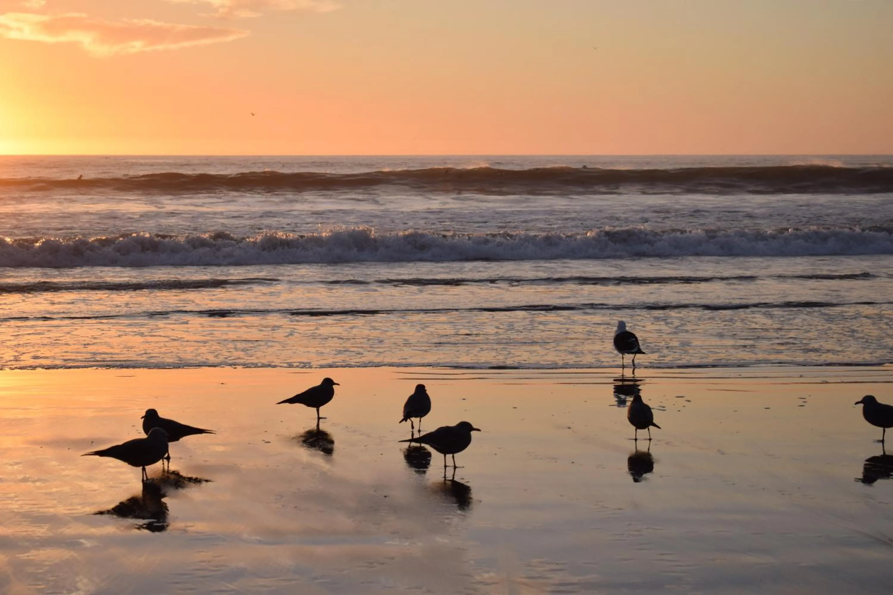 Spring in Apart Hotel Y Cabanas Vegasur