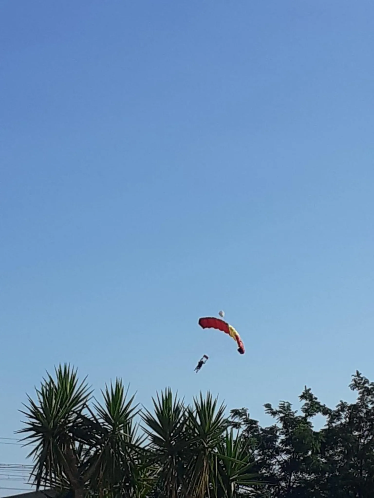 Activities in Vista Volo