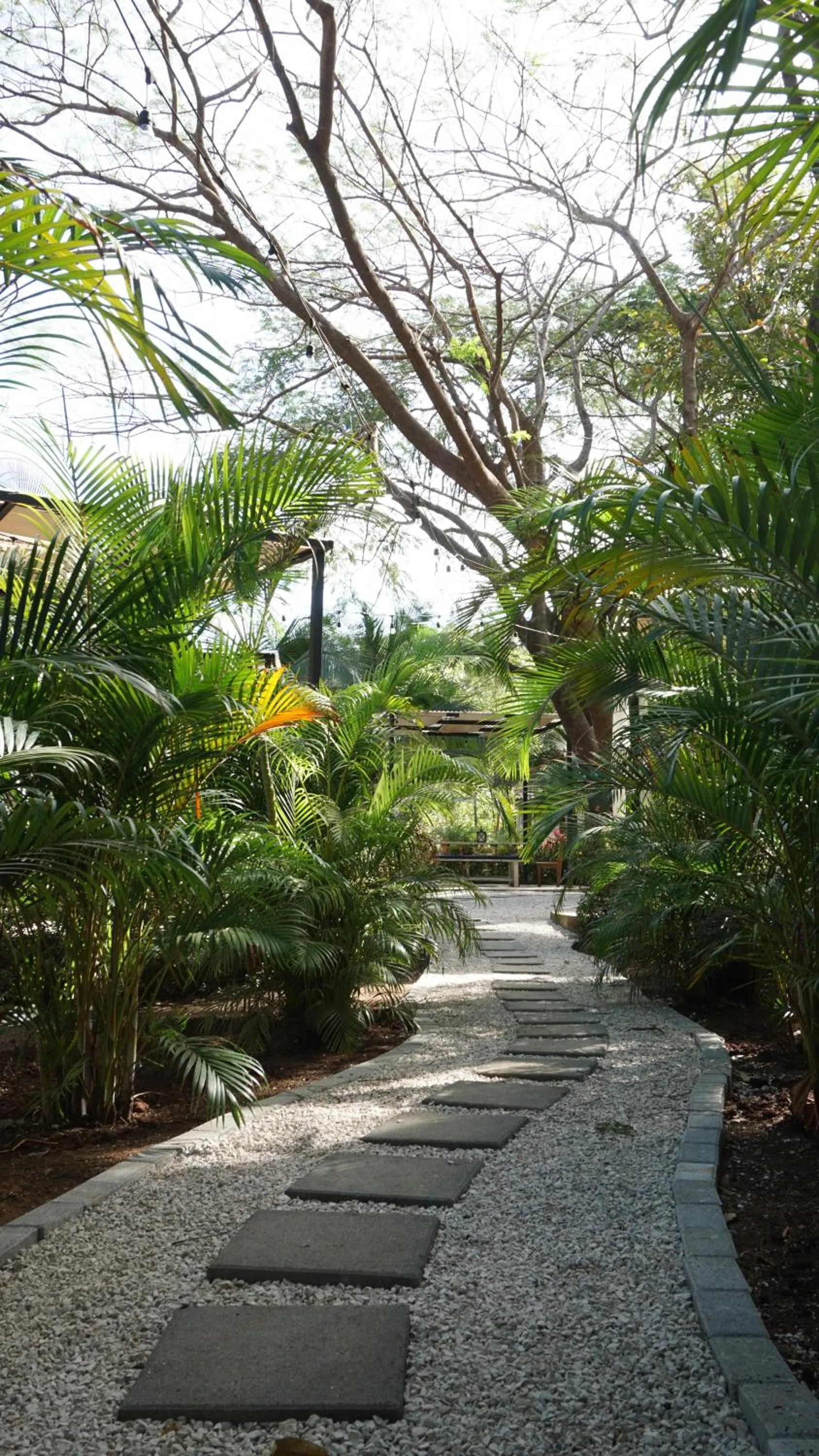 Natural landscape in SoulShine