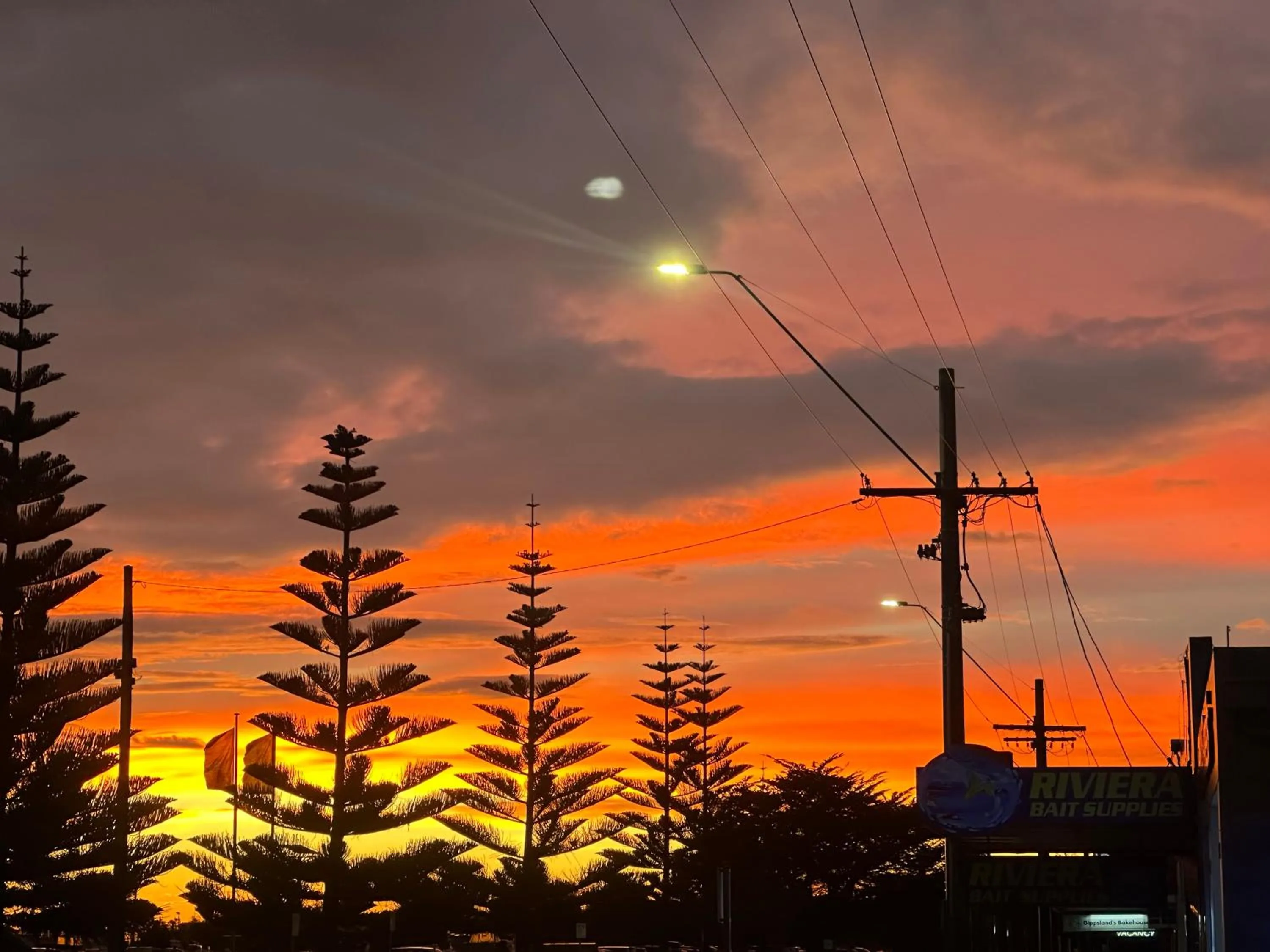 Beach in The Esplanade Motel