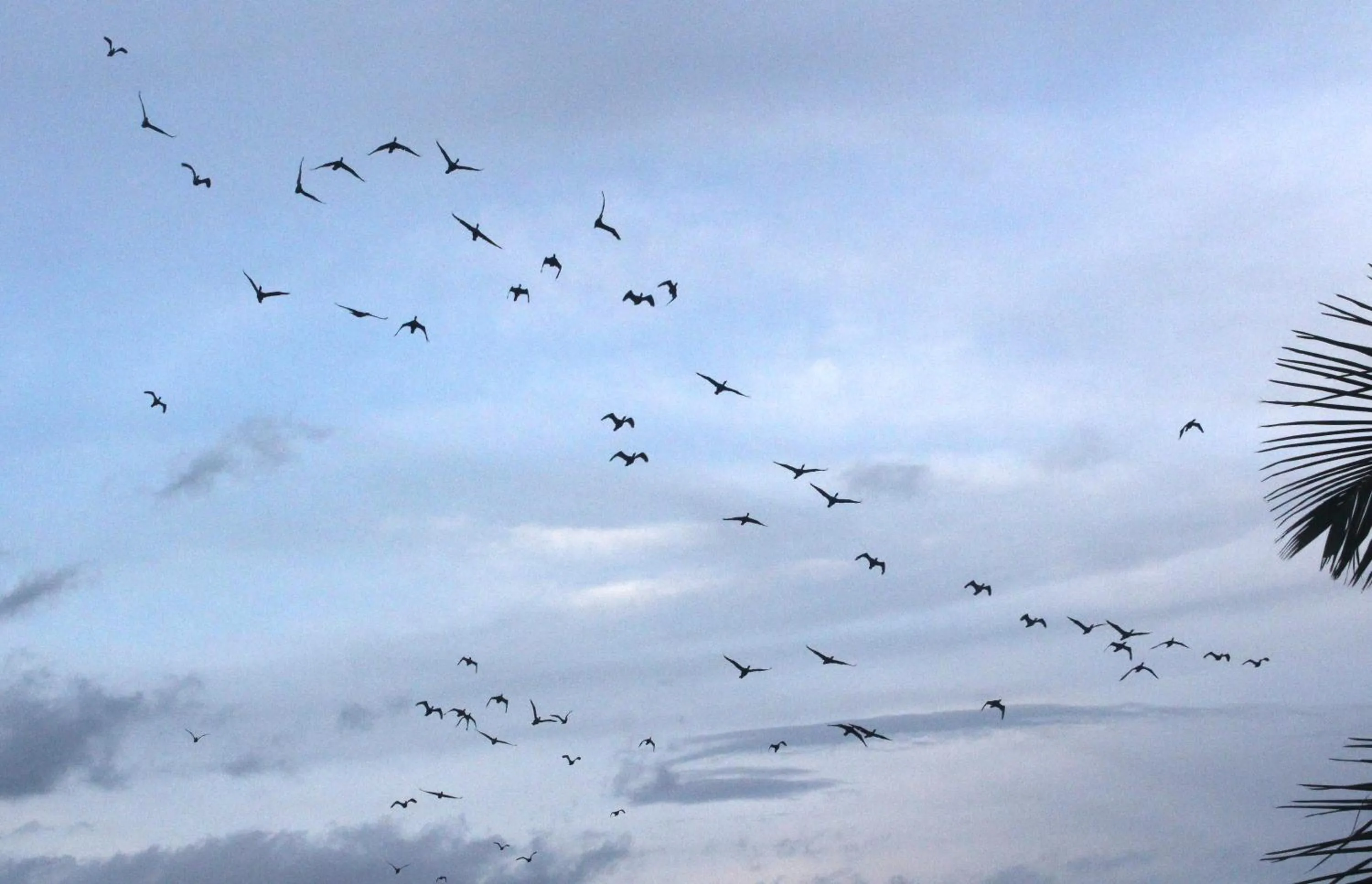 Natural landscape in Hotel Sunray