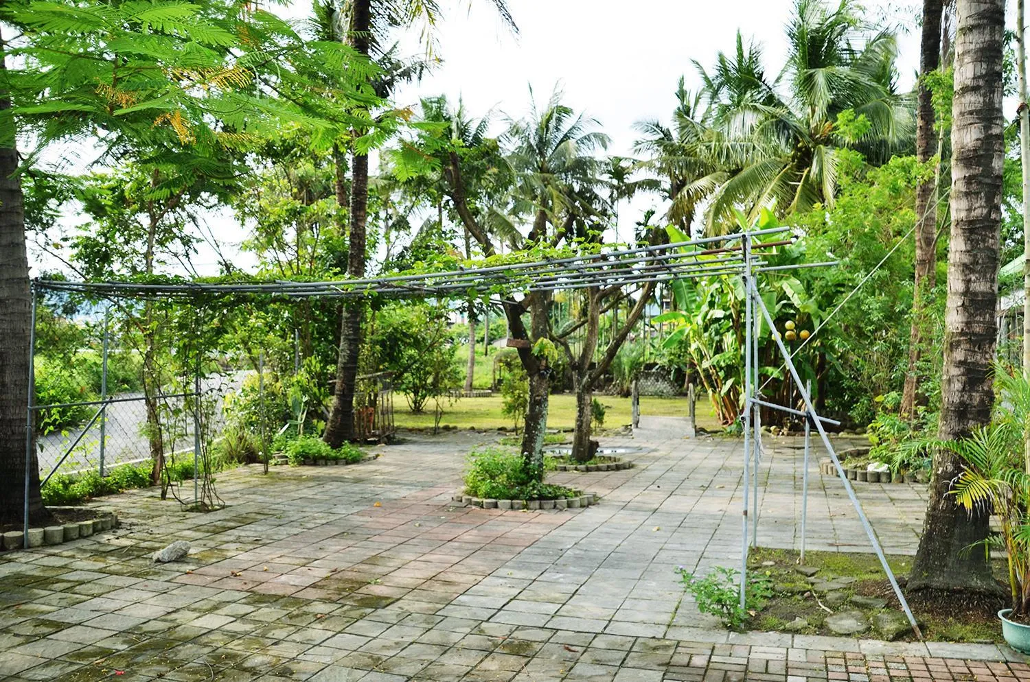 View (from property/room) in Kaohsiung Meinong Rabbit Paul Homestay B&B