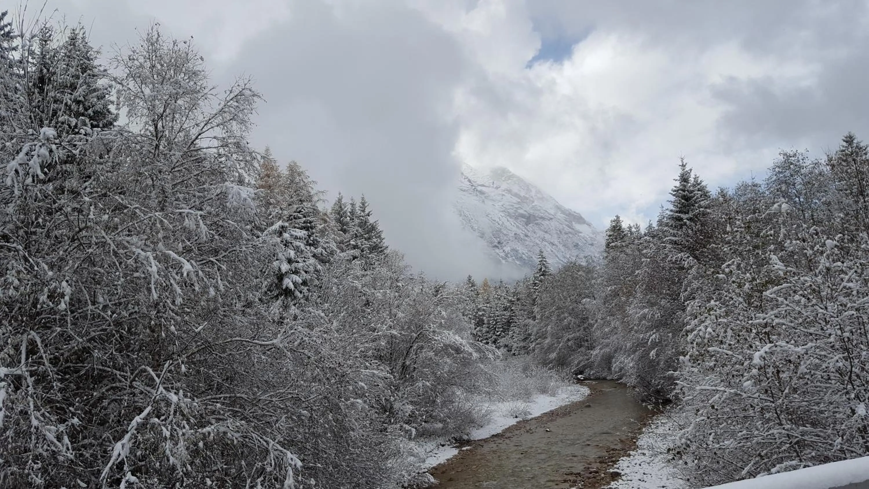 Natural landscape in Hotel Gasthof Gaistal