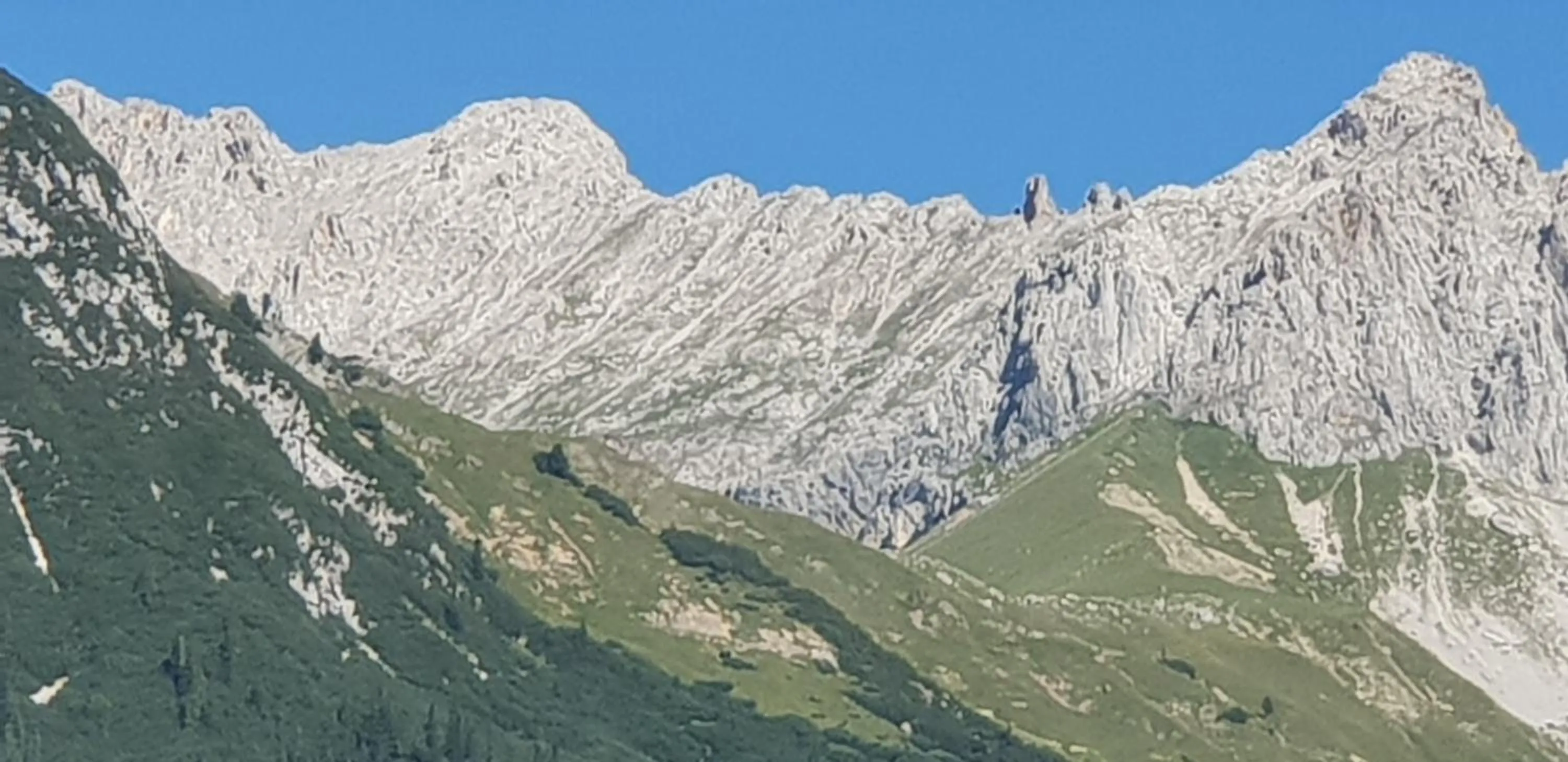 Mountain view in Hotel Gasthof Gaistal