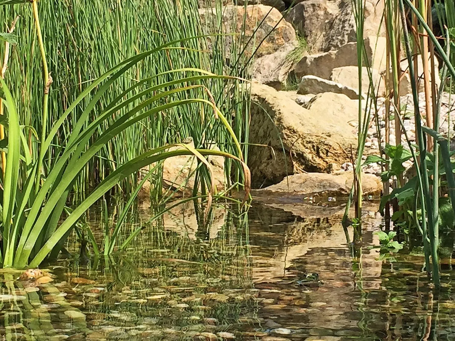 Lake view in Lake View Apartments near Golf Resort Kunětická Hora, Dříteč