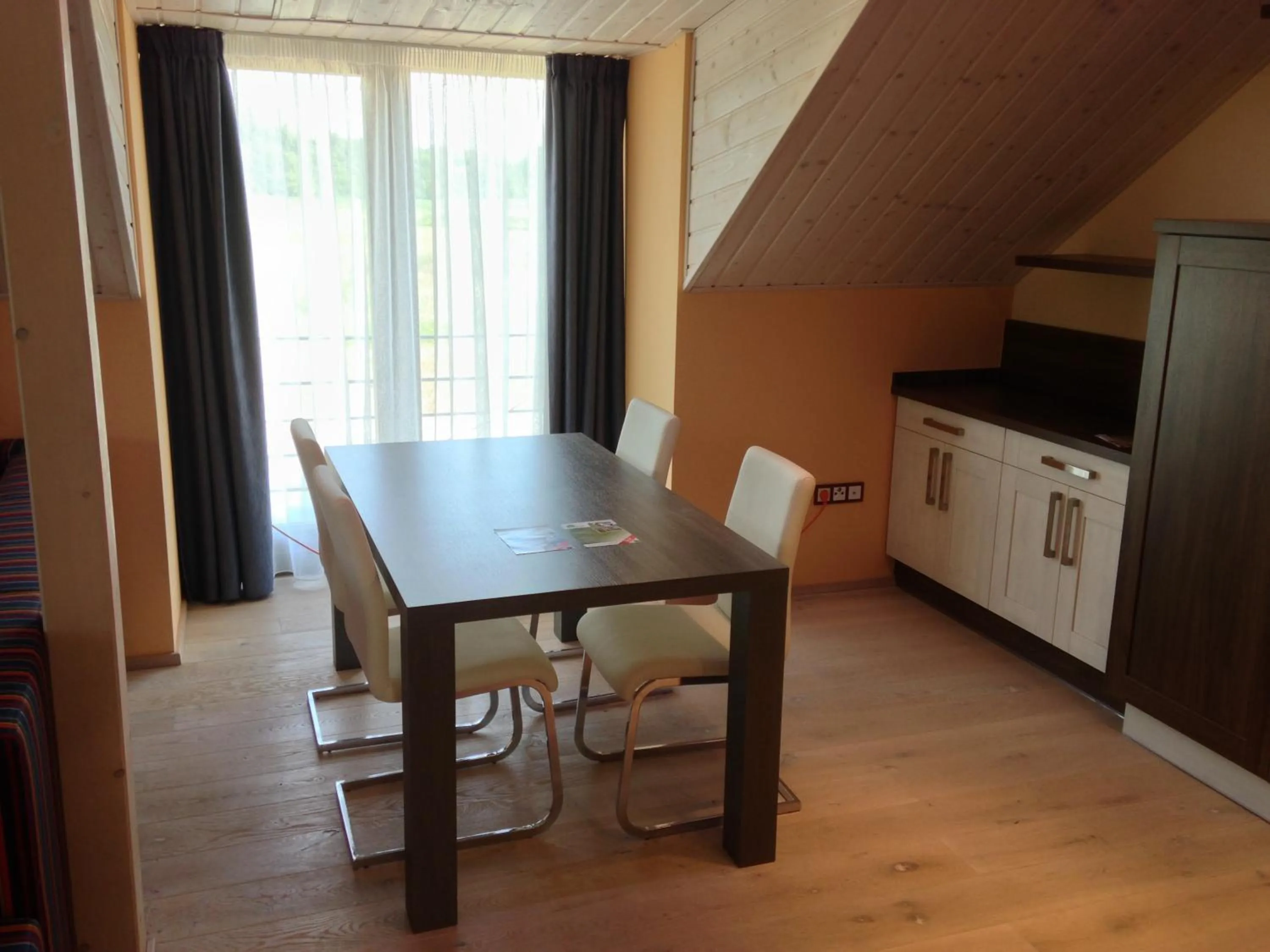 Kitchen or kitchenette in Lake View Apartments near Golf Resort Kunětická Hora, Dříteč
