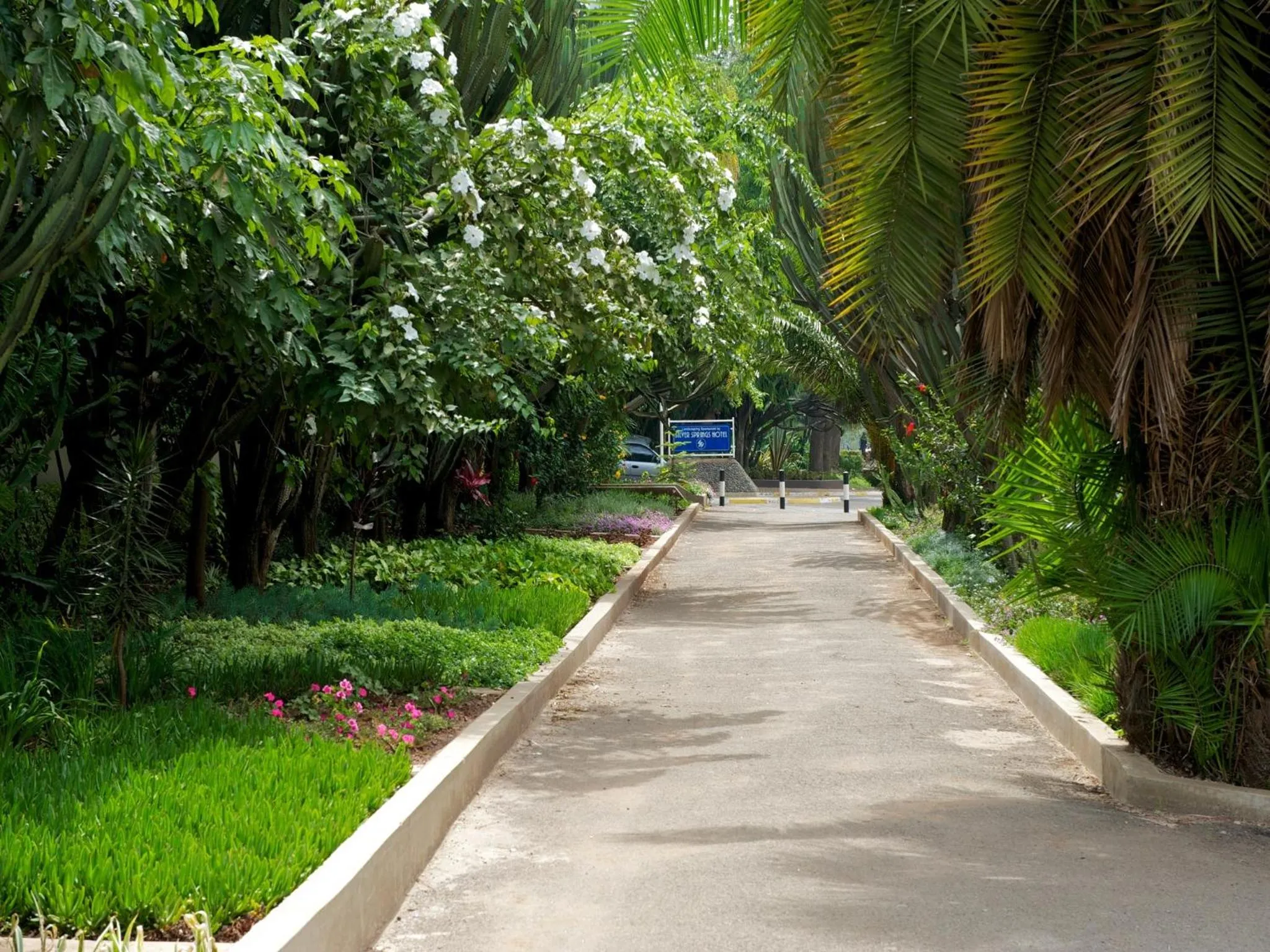 Garden in Muthu Silver Springs Hotel