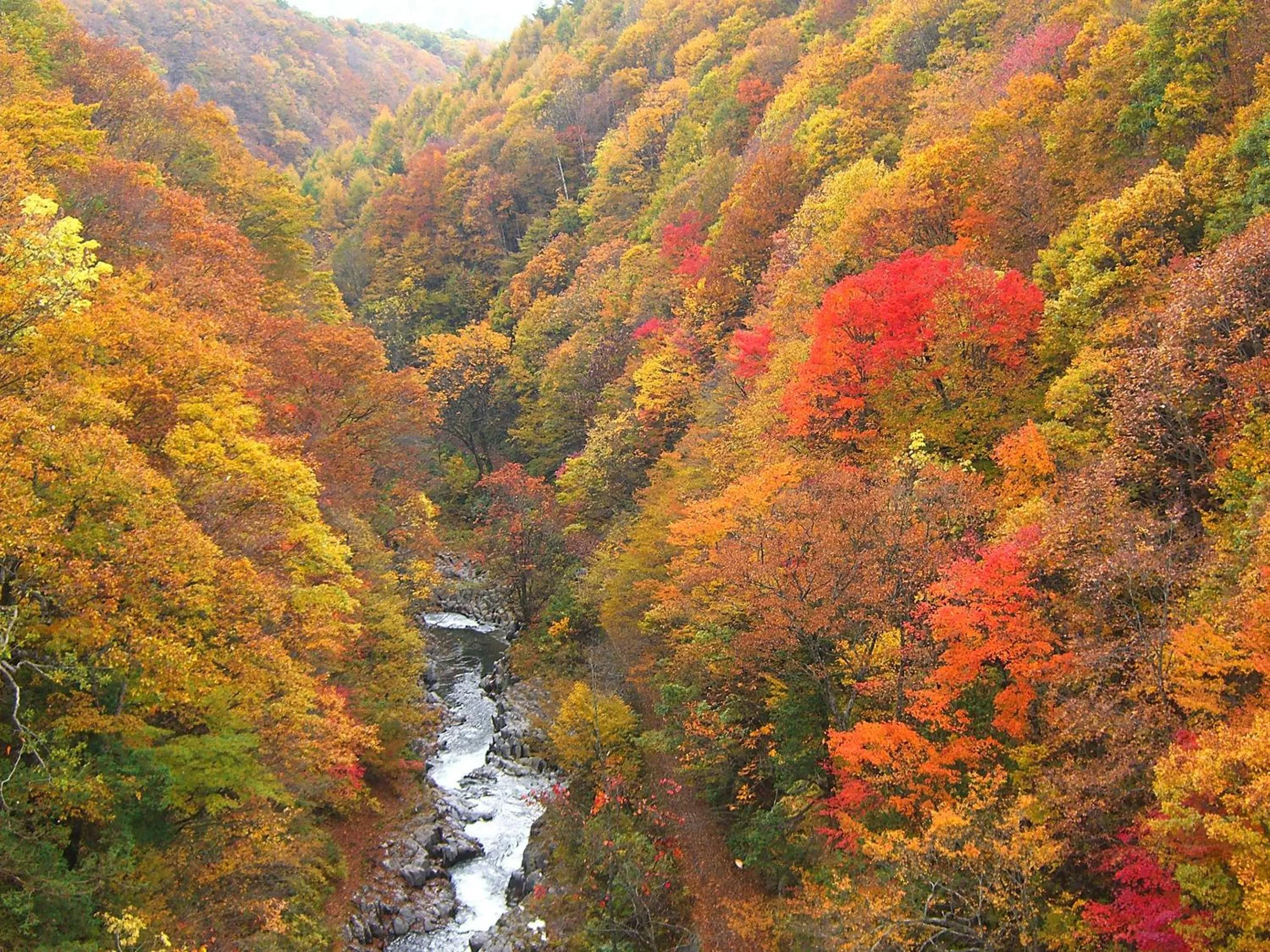 Natural landscape in Urabandai Lake Resort Geihinkan Nekoma Rikyu