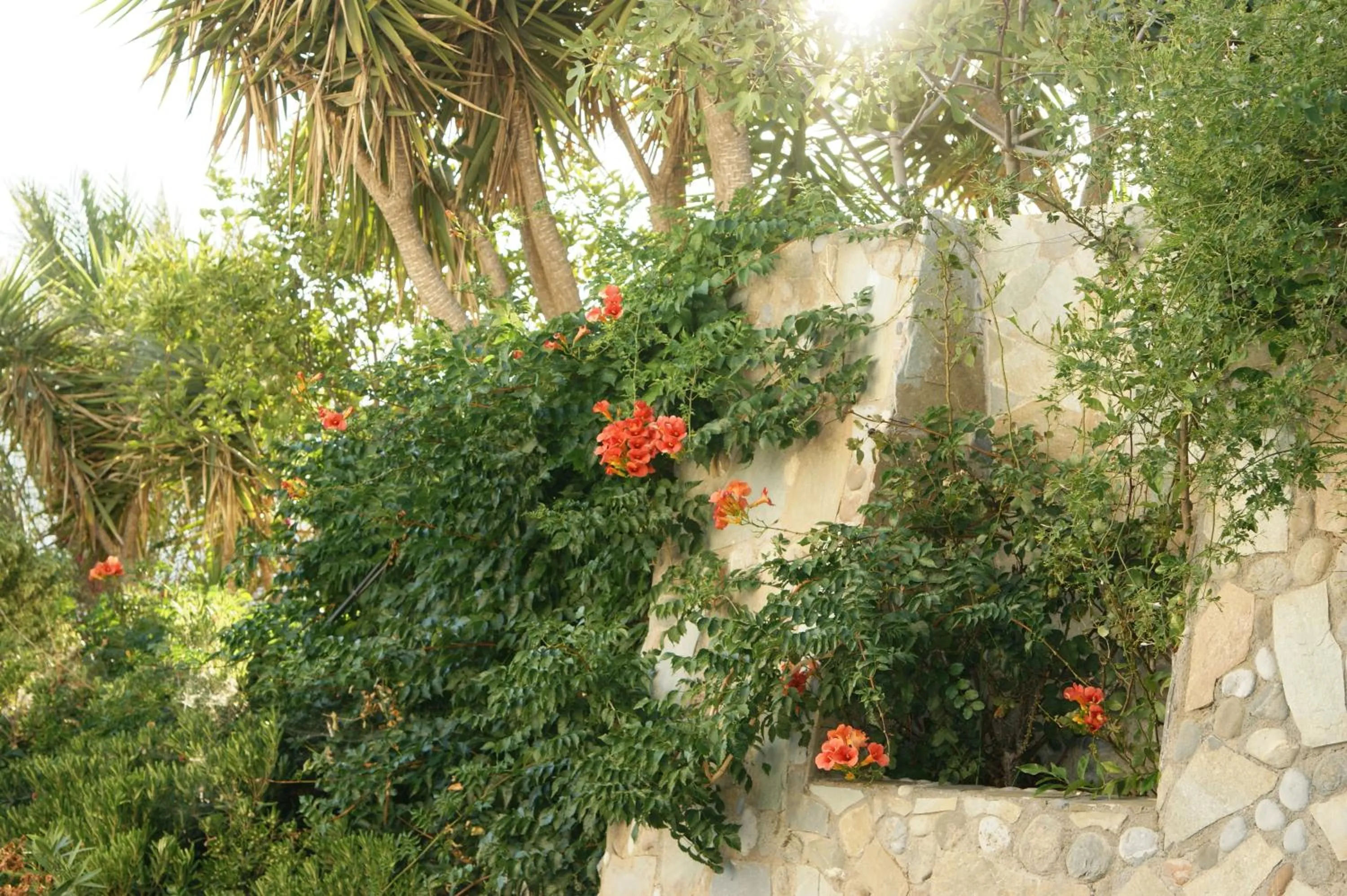 Facade/entrance in Lofos Hotel