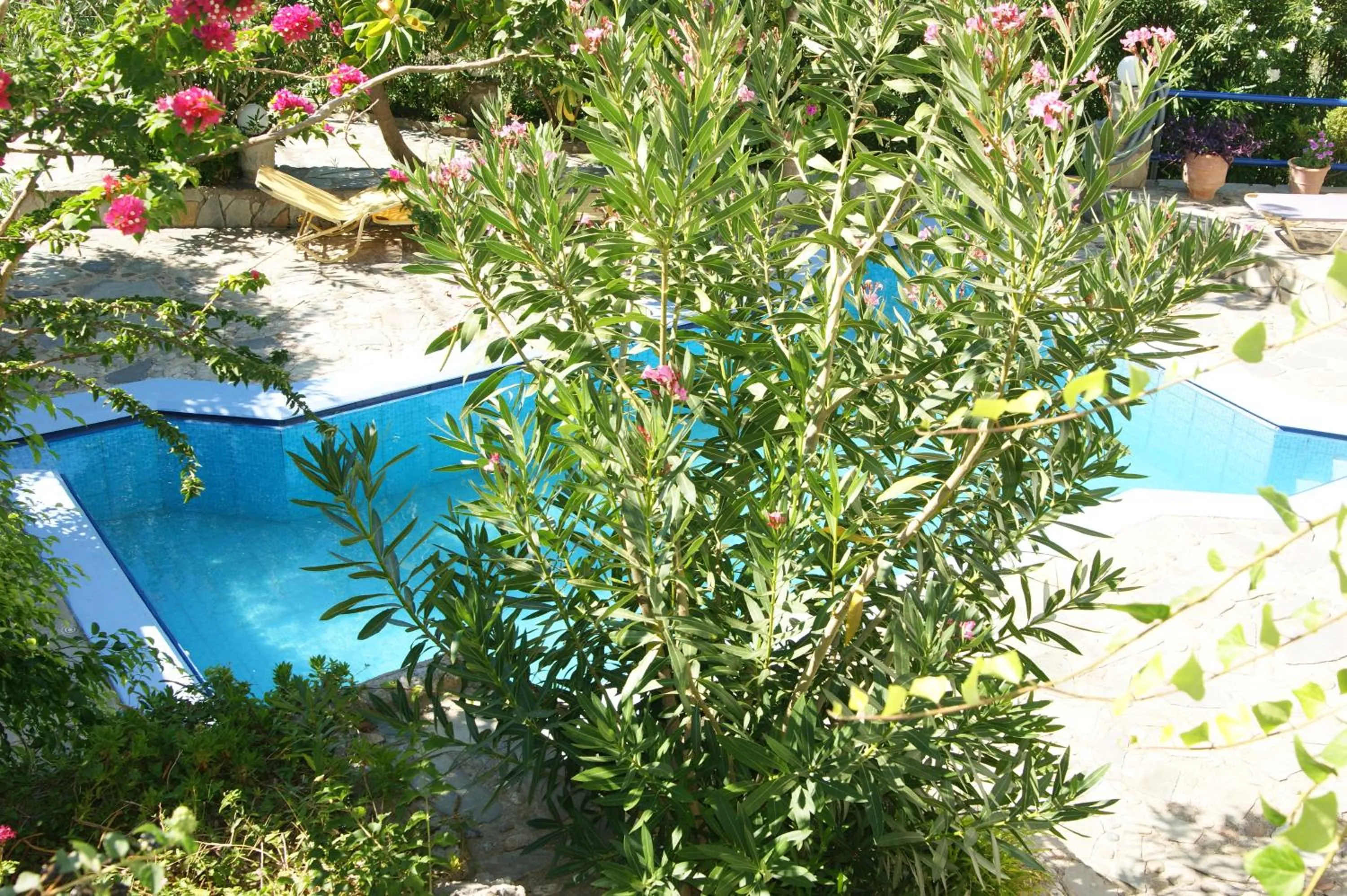 Garden in Lofos Hotel