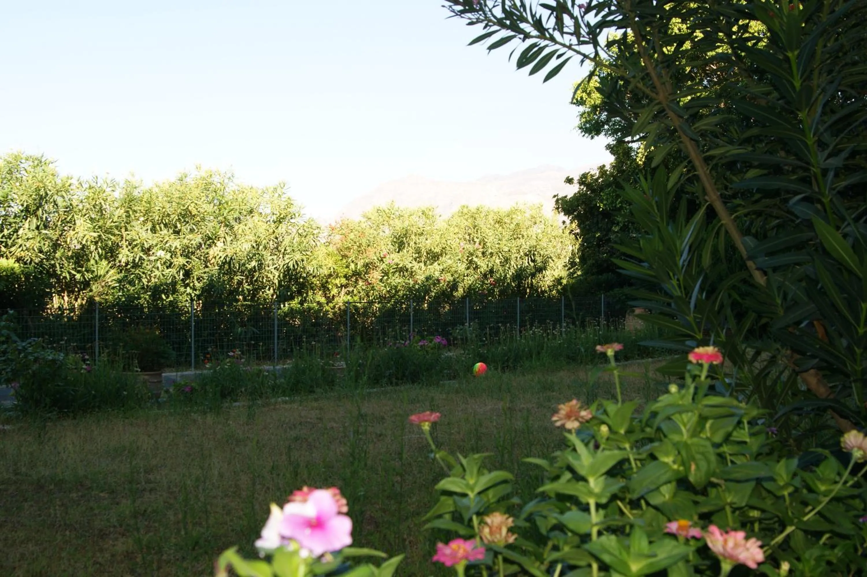 Facade/entrance in Lofos Hotel