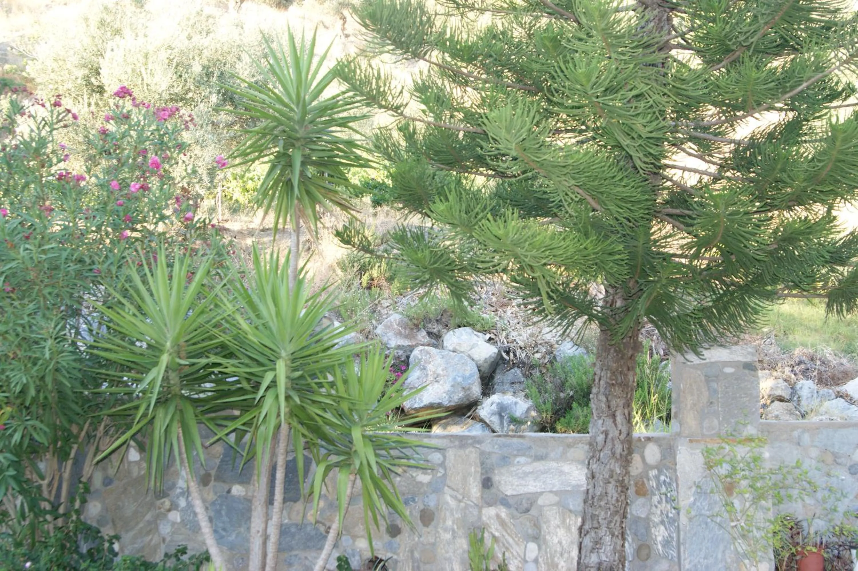 Facade/entrance in Lofos Hotel