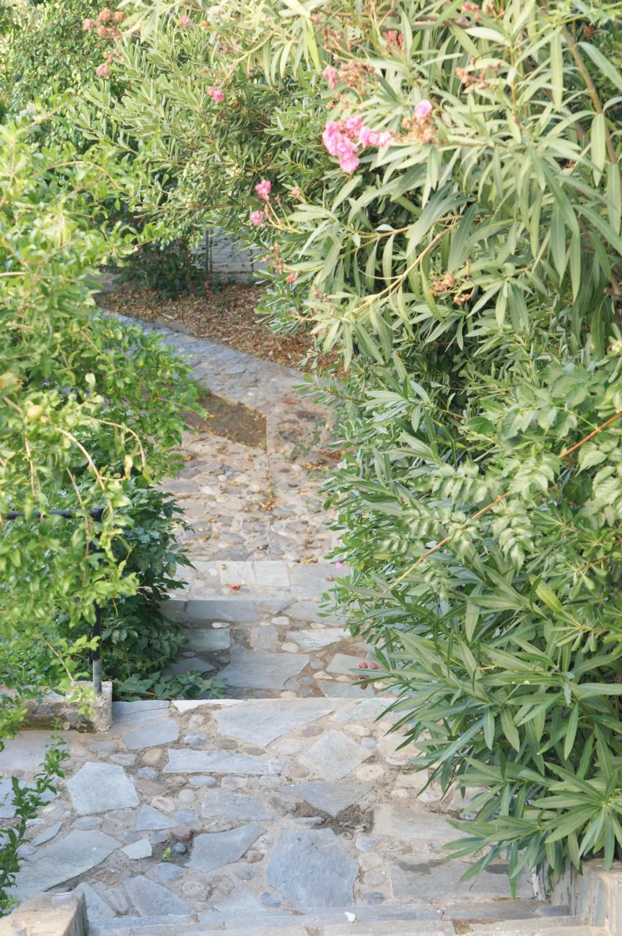 Facade/entrance in Lofos Hotel