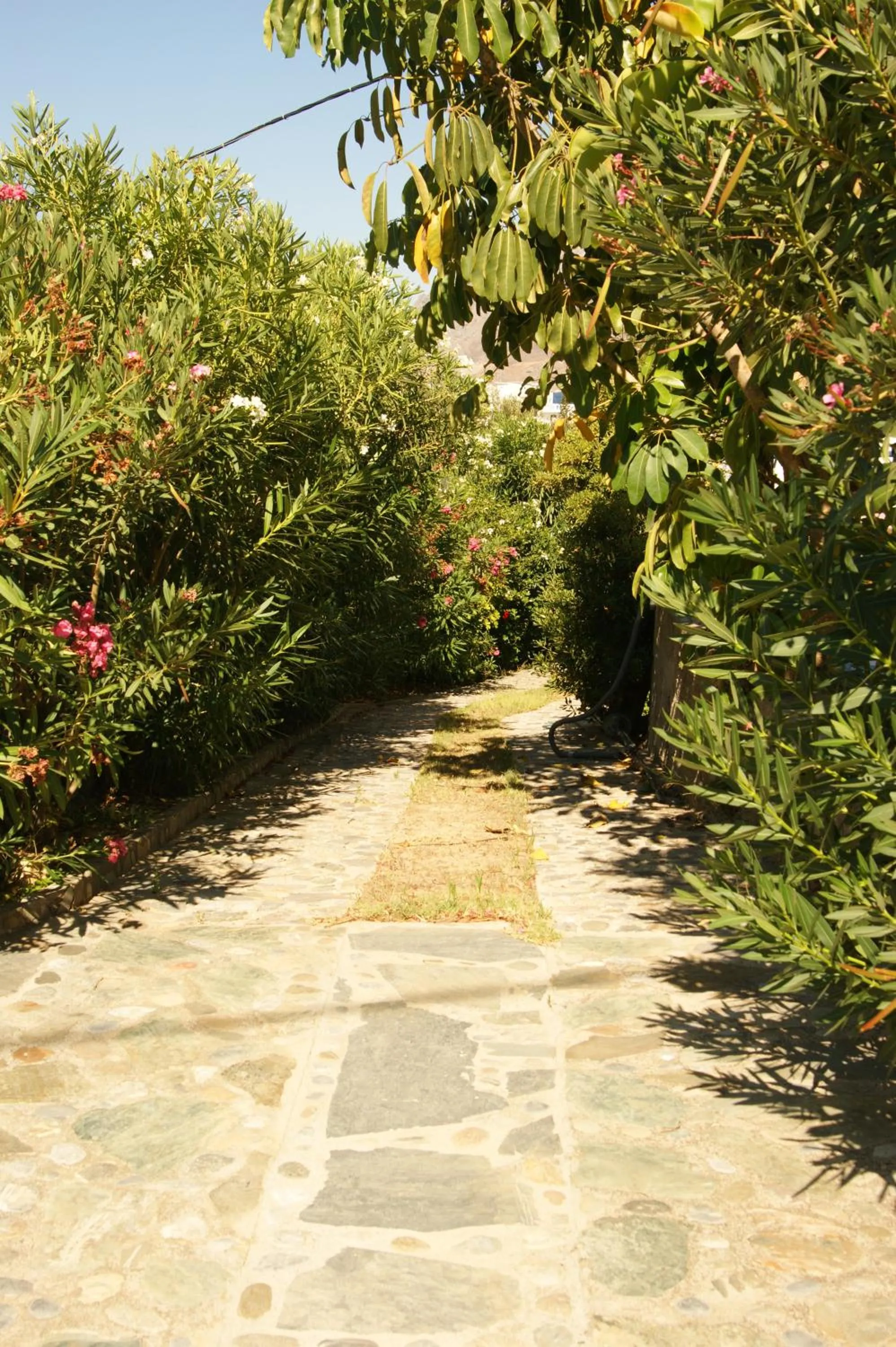 Facade/entrance in Lofos Hotel