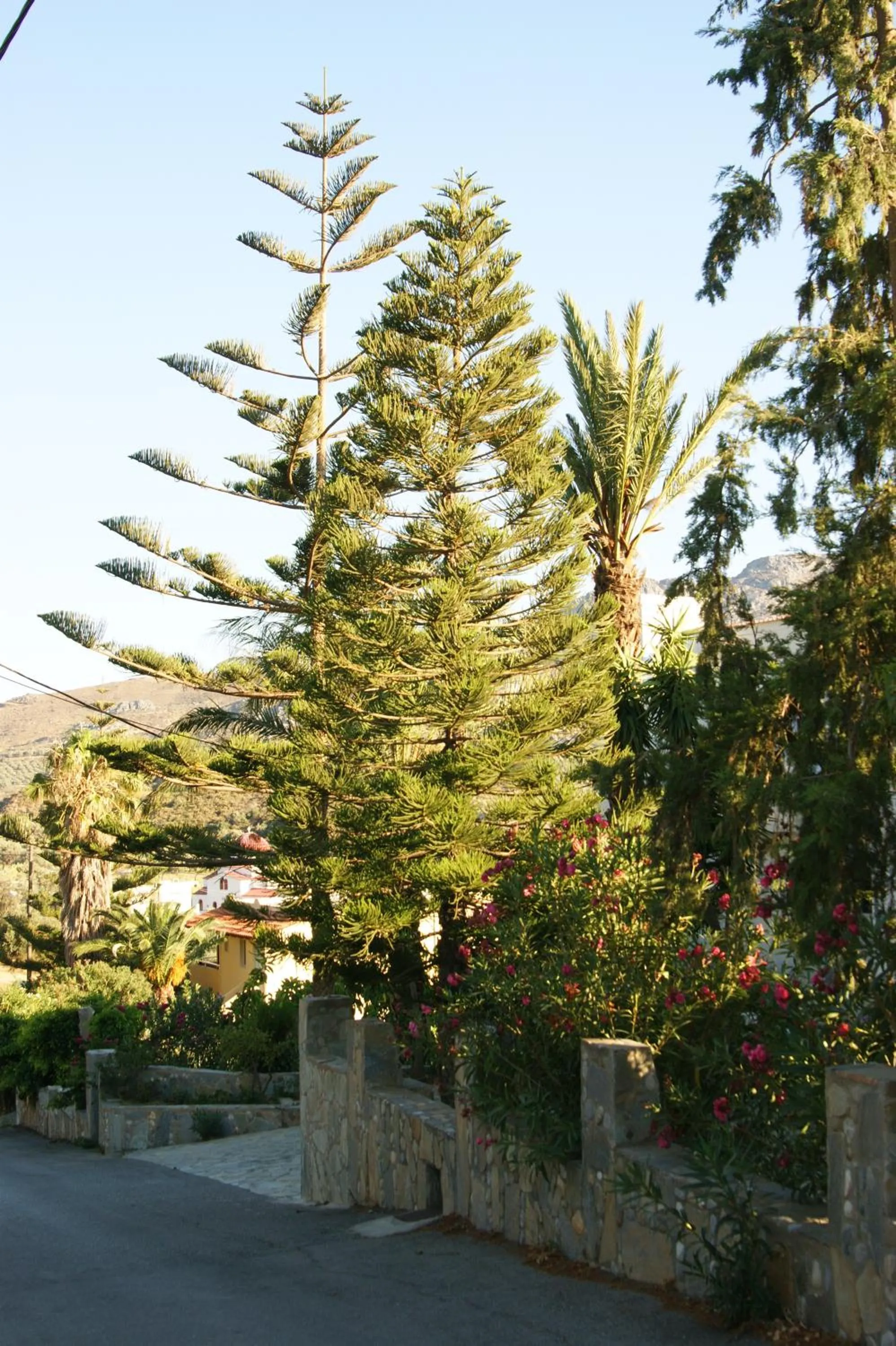 Facade/entrance in Lofos Hotel