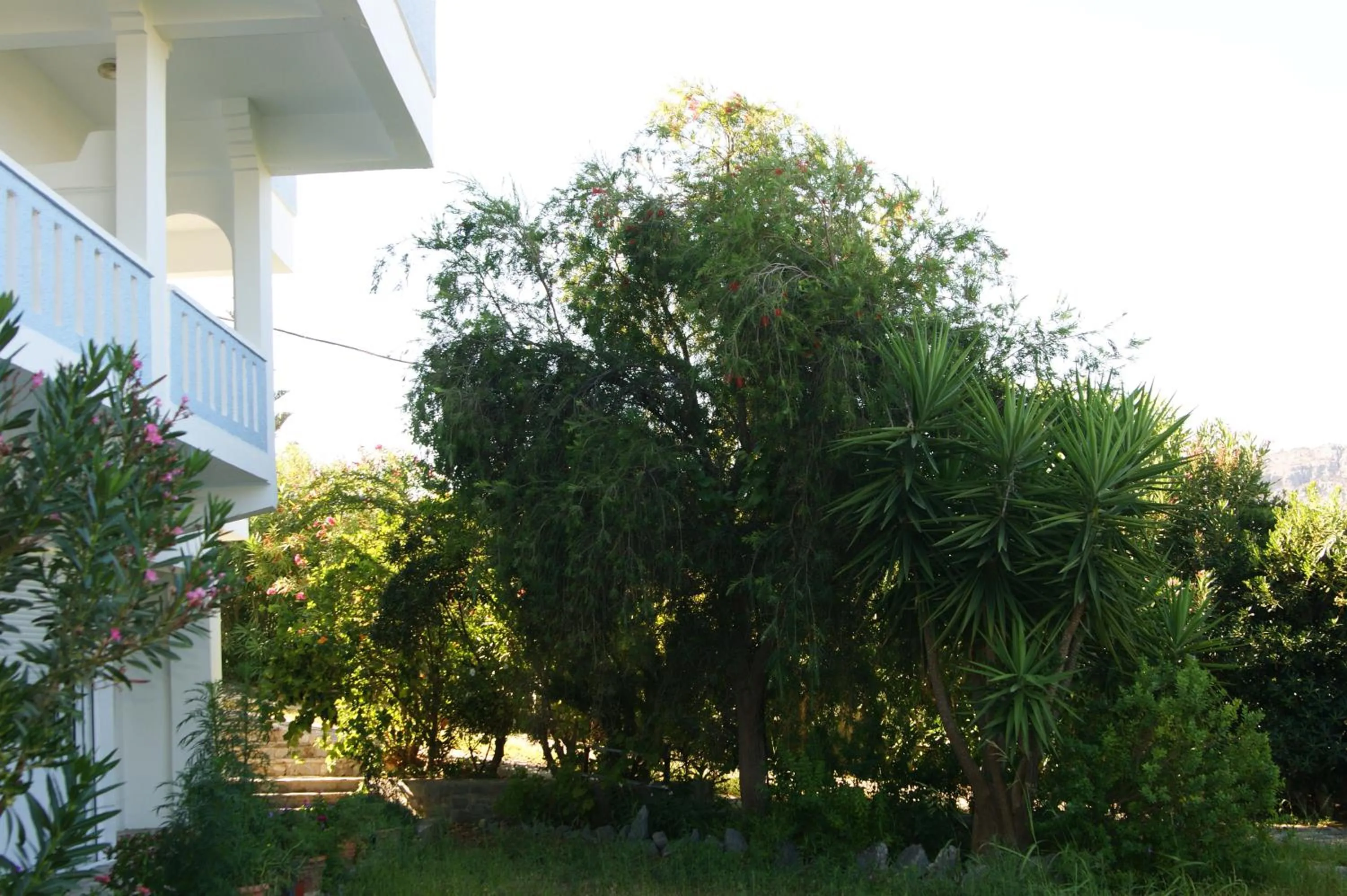 Garden in Lofos Hotel