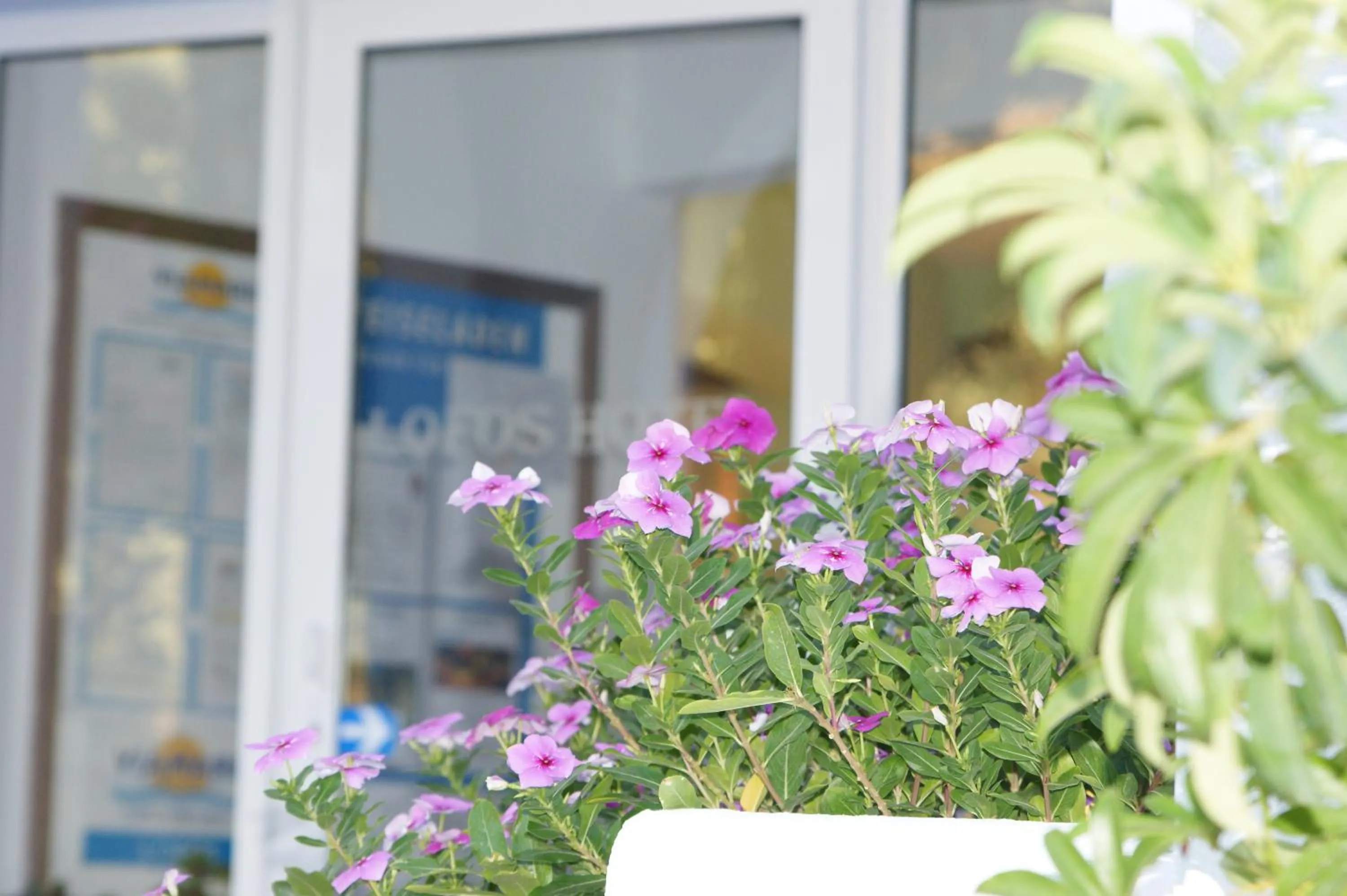 Other in Lofos Hotel