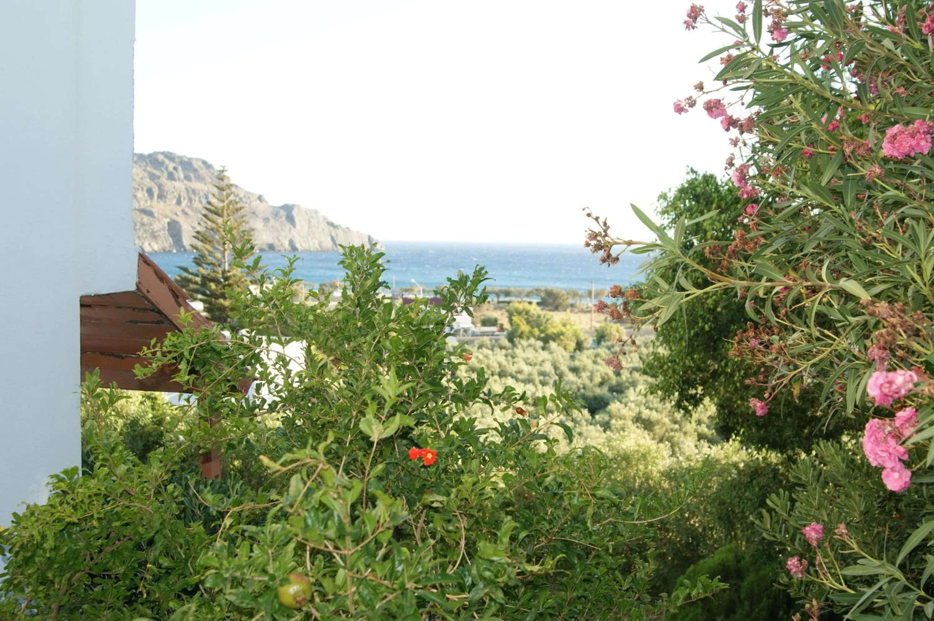 View (from property/room) in Lofos Hotel