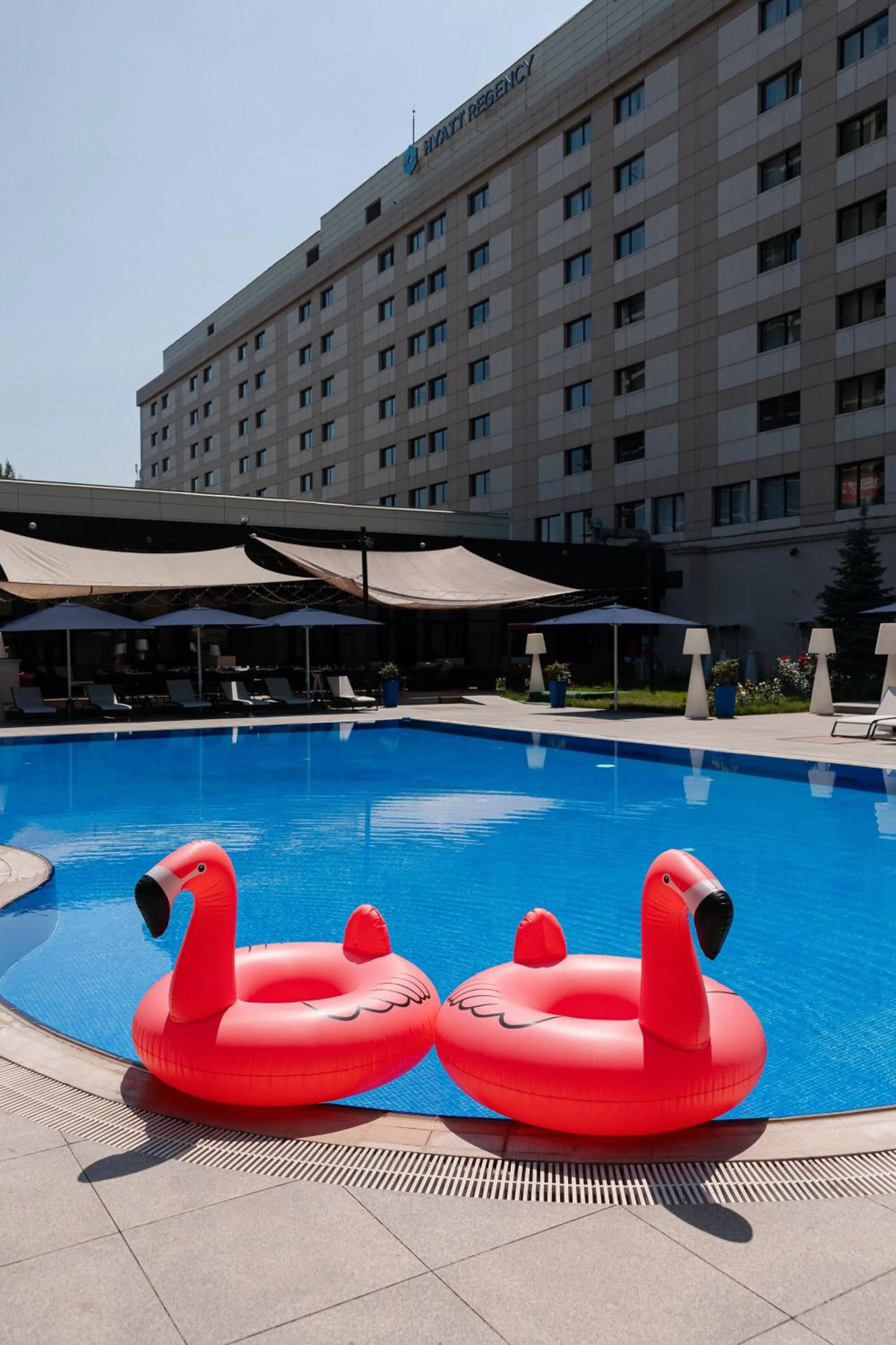 Swimming pool in Hyatt Regency Bishkek