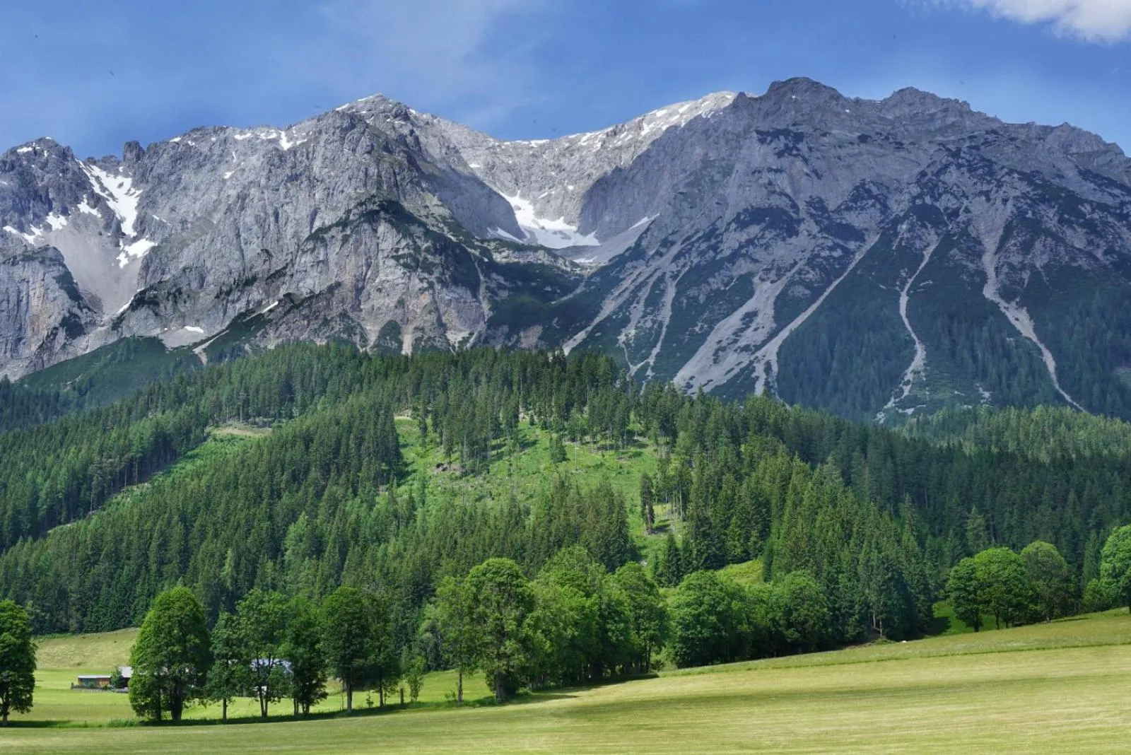 Natural landscape in Hotel Stierer