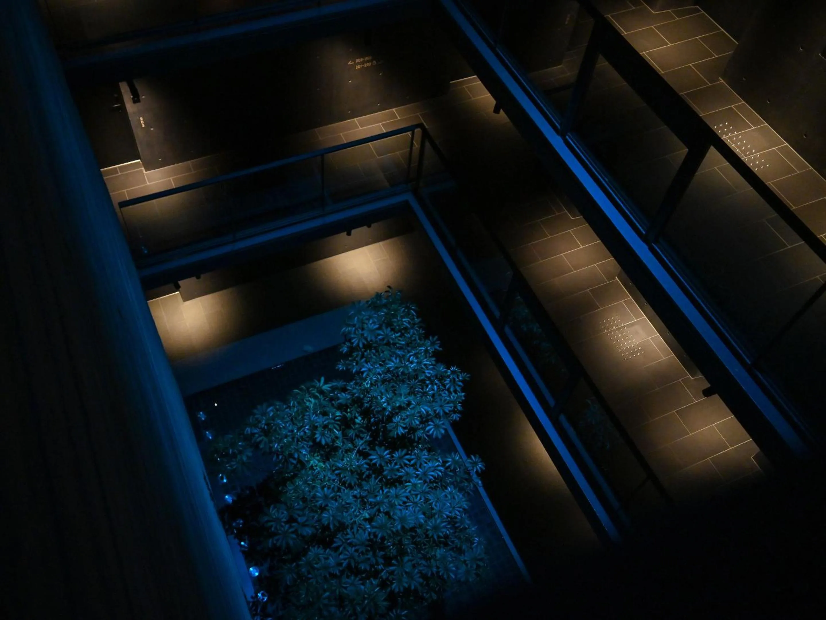 Inner courtyard view in nol kyoto sanjo